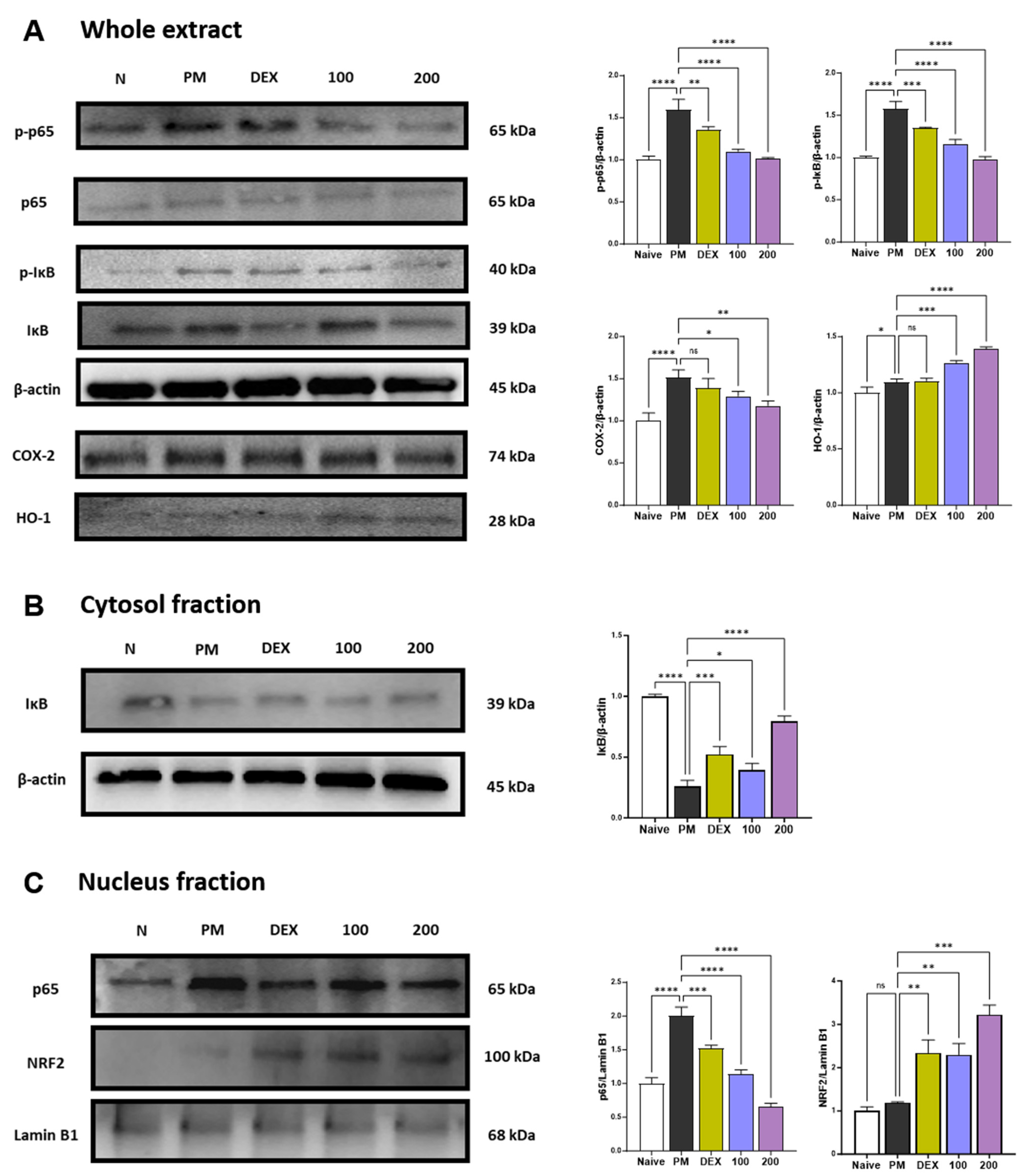 Antioxidants 12 01591 g002