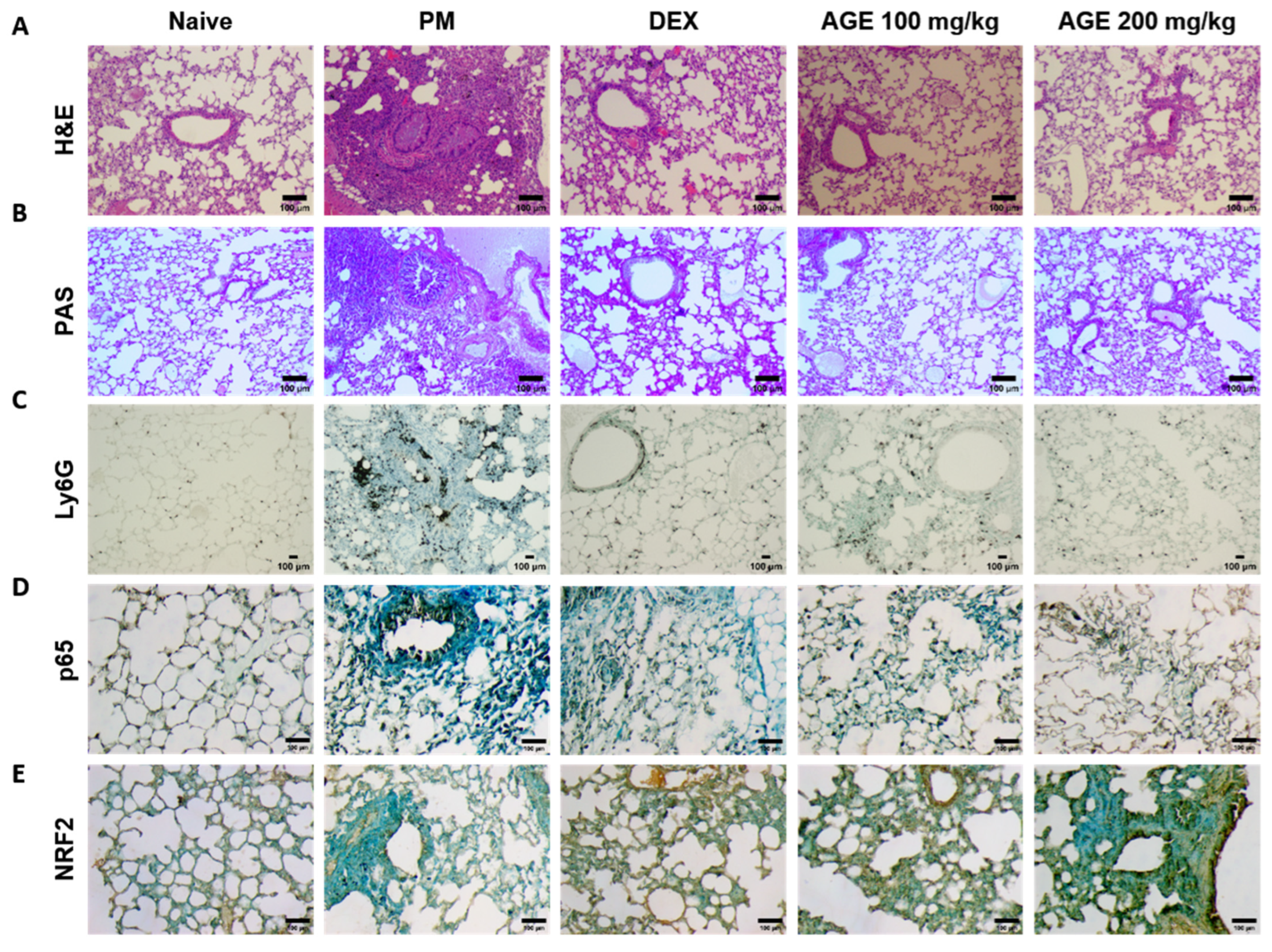 Antioxidants 12 01591 g003a