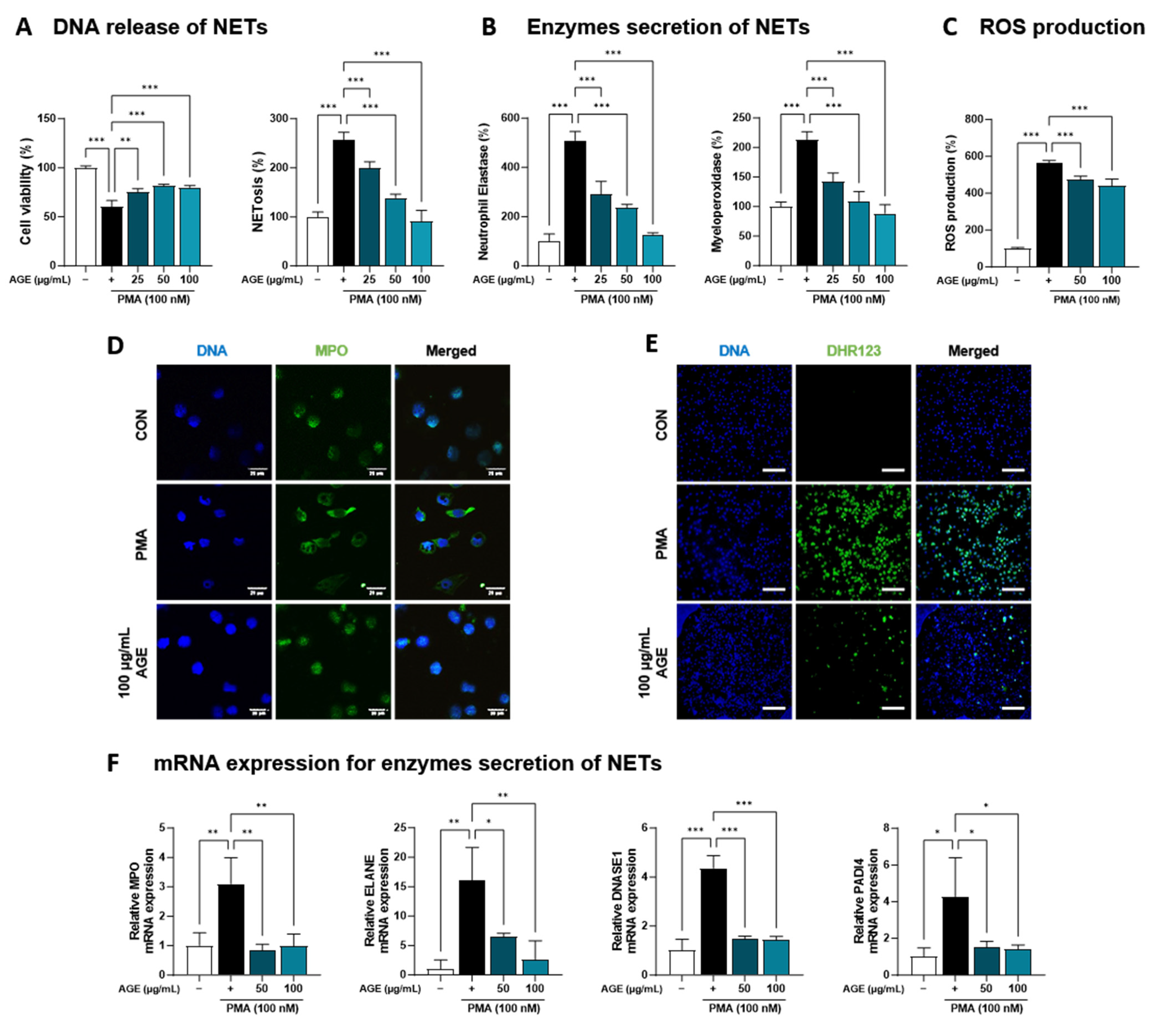 Antioxidants 12 01591 g004a