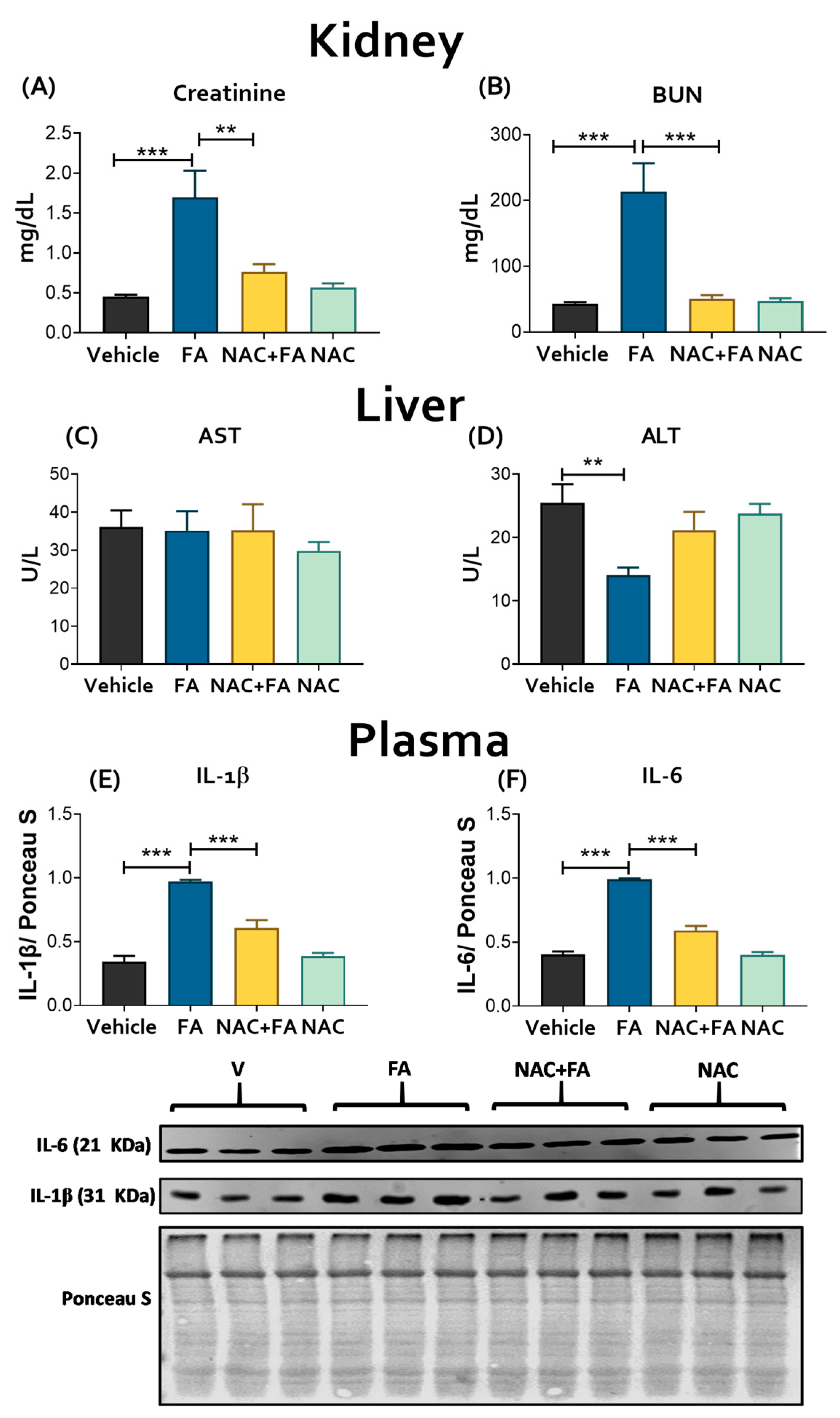 Antioxidants 12 01592 g001