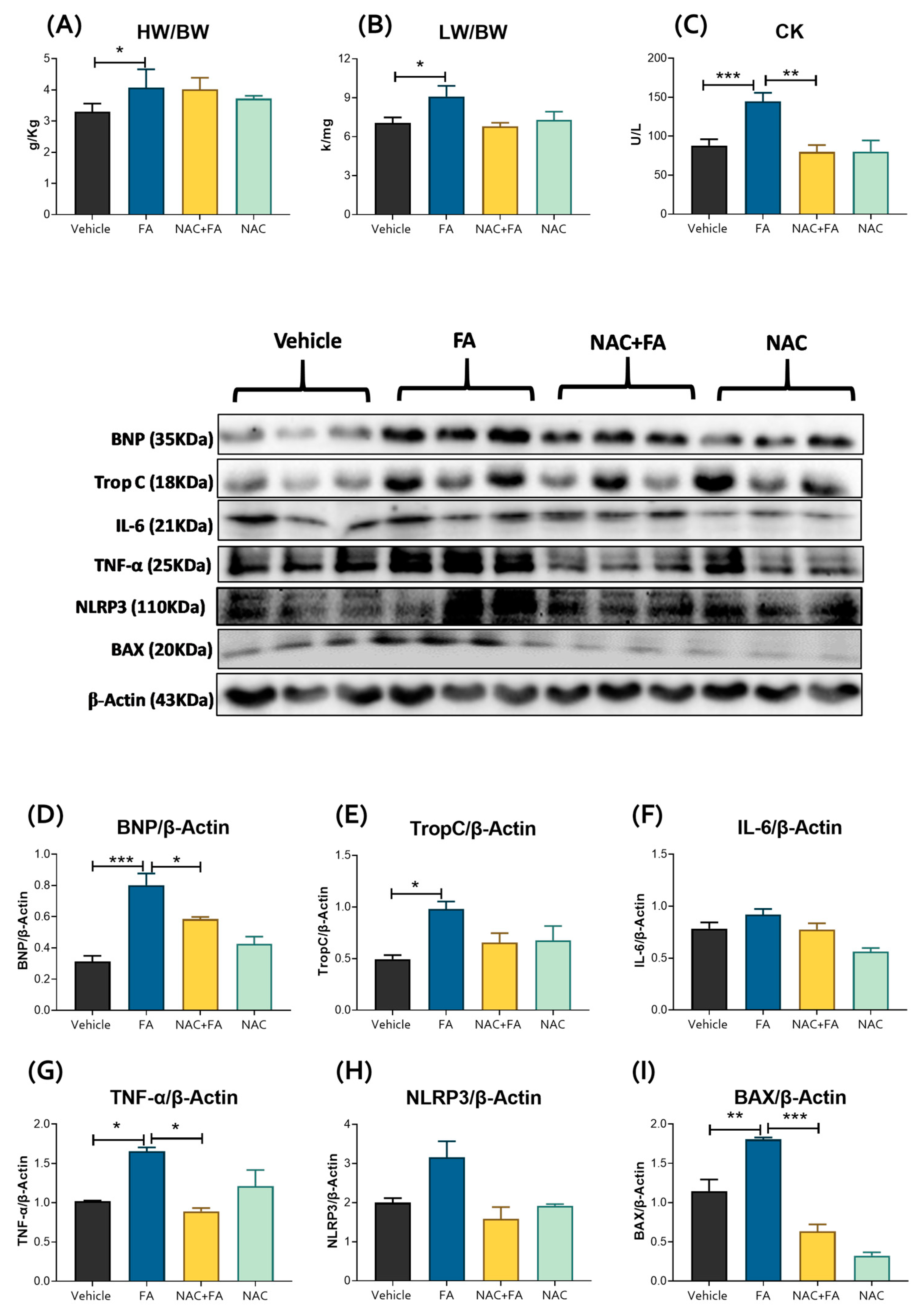Antioxidants 12 01592 g002