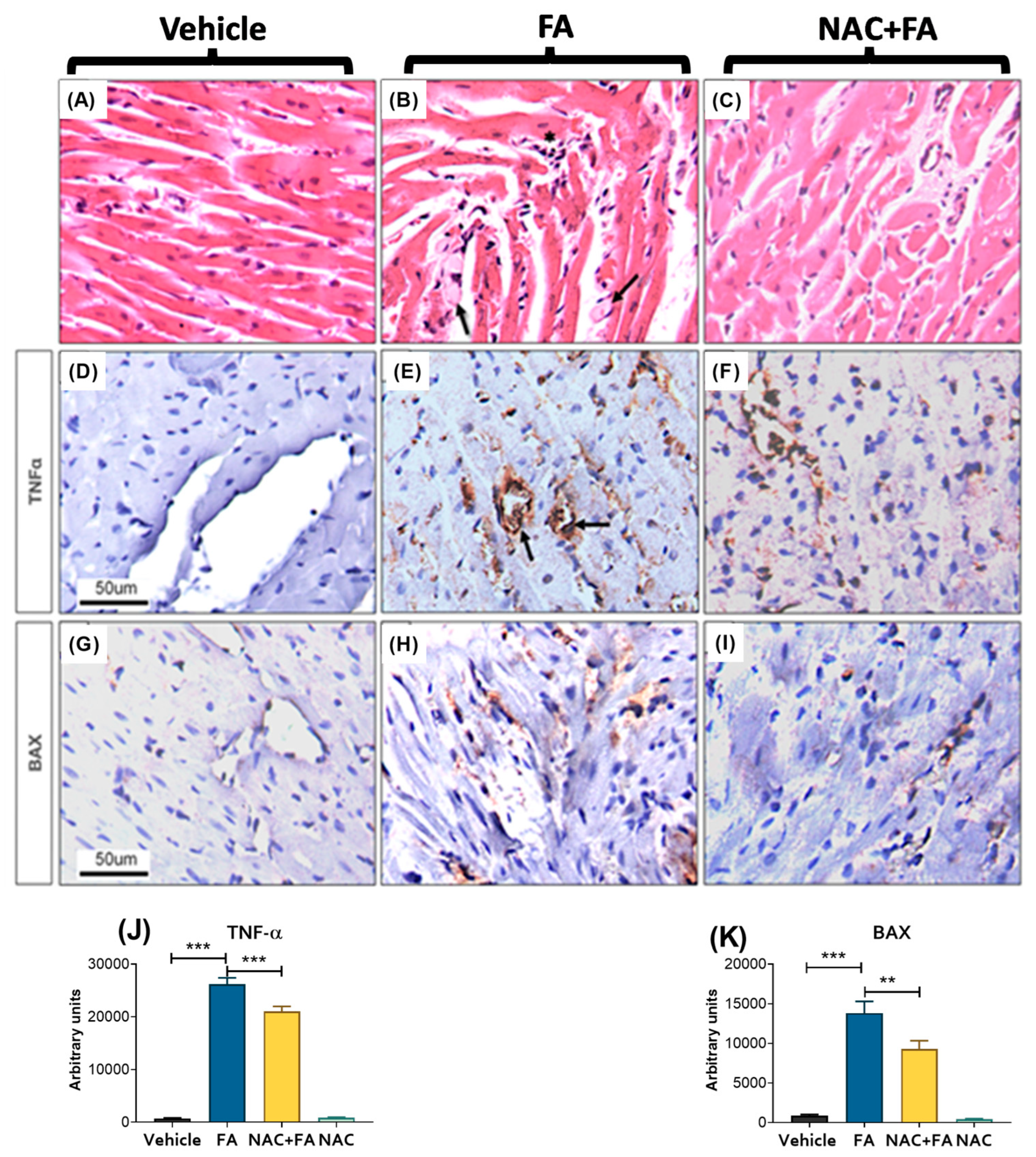 Antioxidants 12 01592 g003