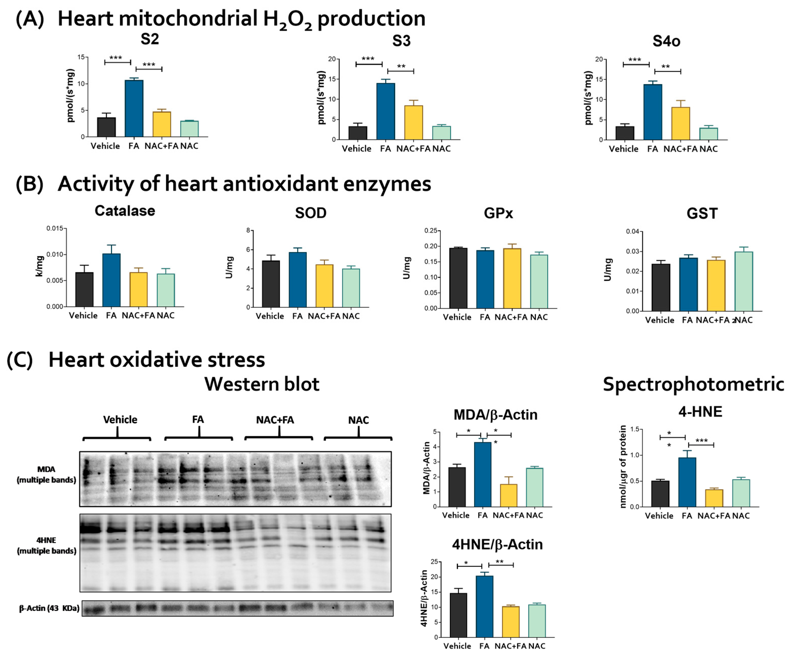 Antioxidants 12 01592 g007
