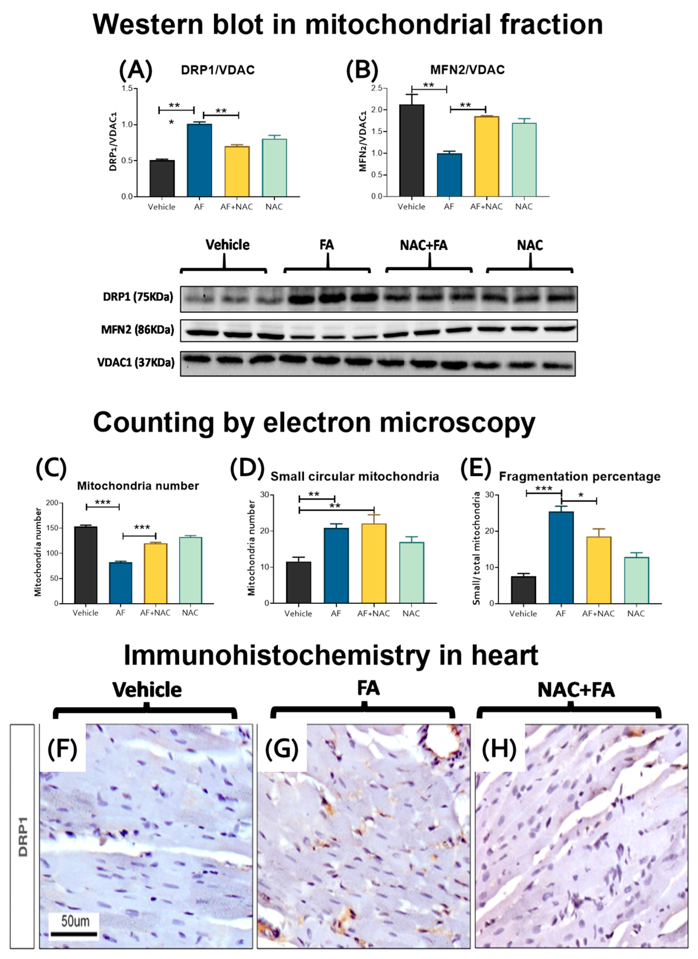 Antioxidants 12 01592 g009