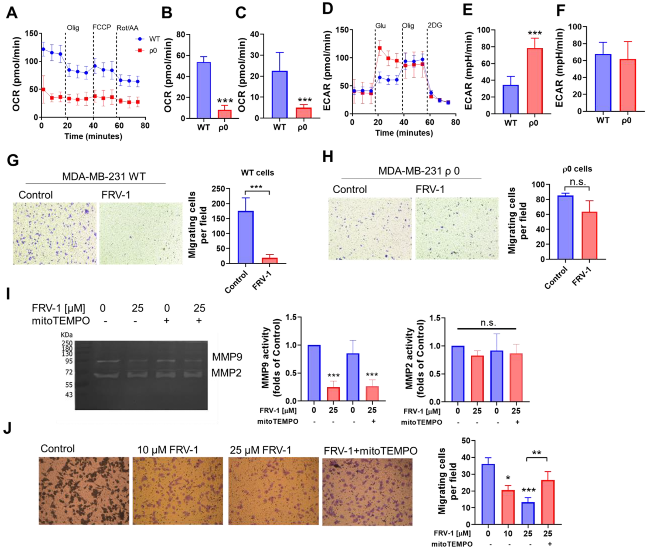 Antioxidants 12 01597 g008