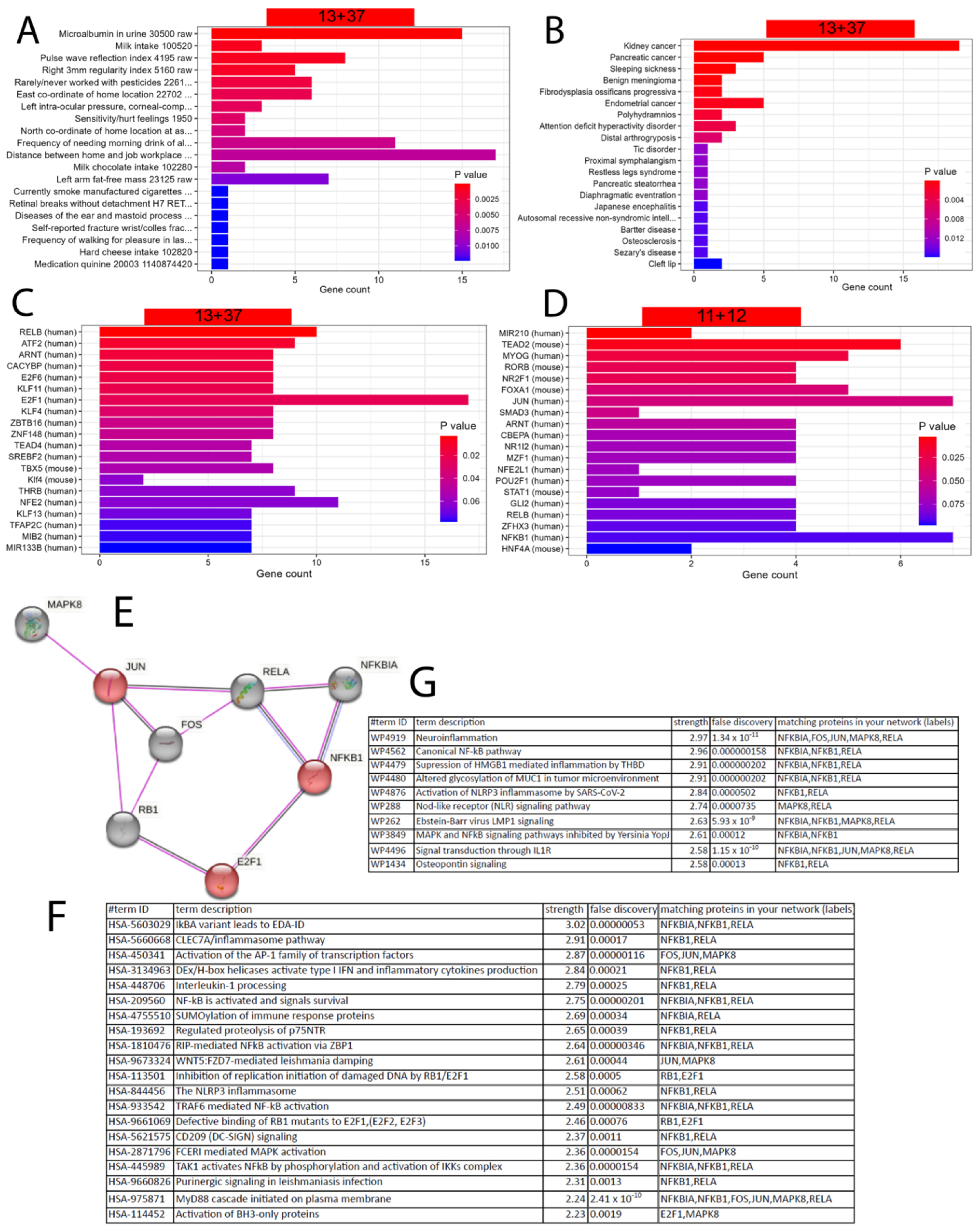 Antioxidants 12 01599 g003