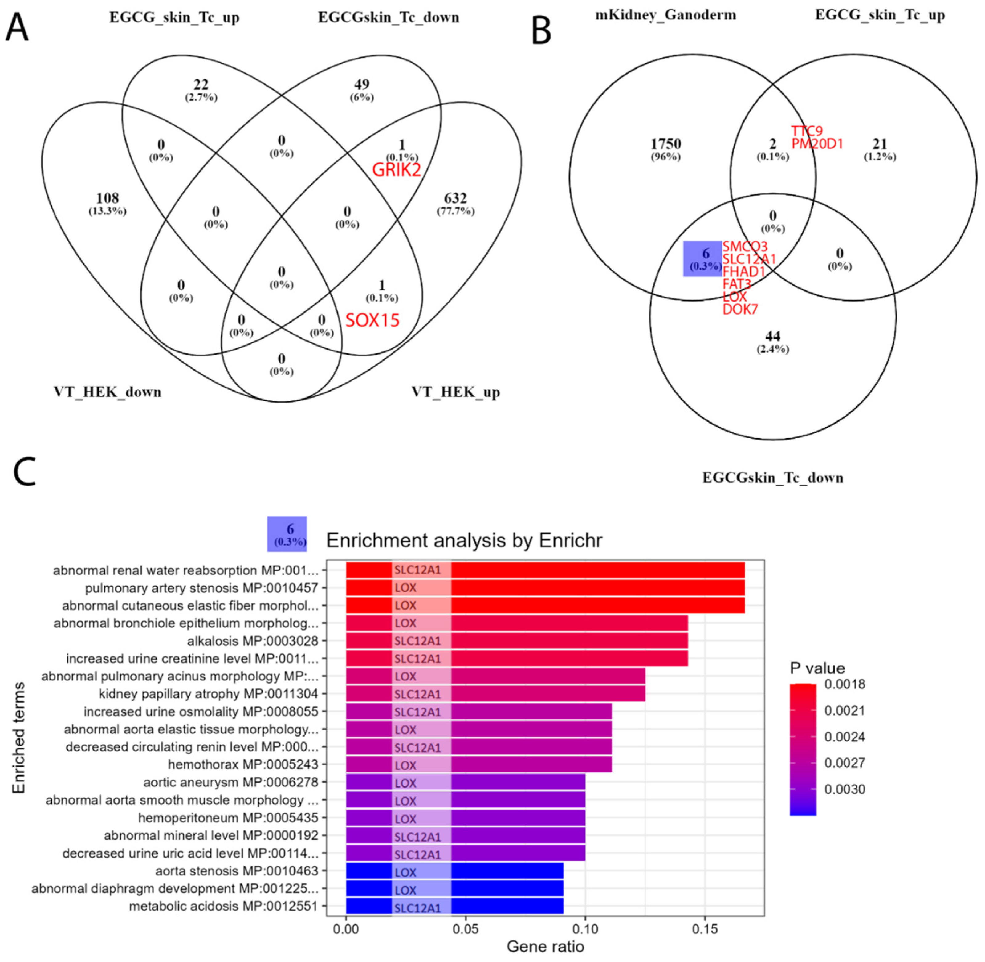 Antioxidants 12 01599 g004