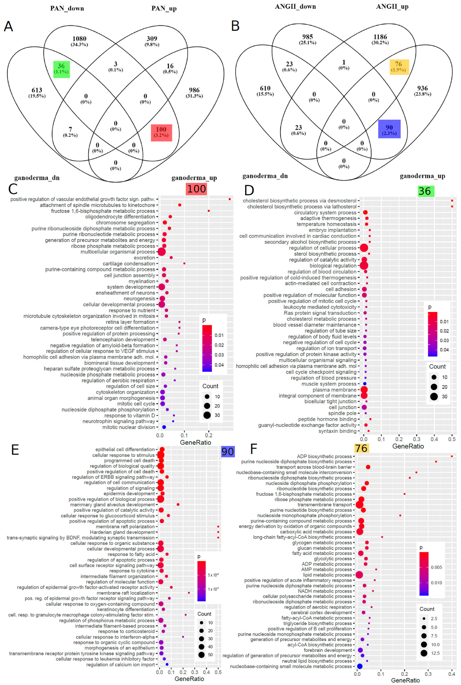 Antioxidants 12 01599 g005