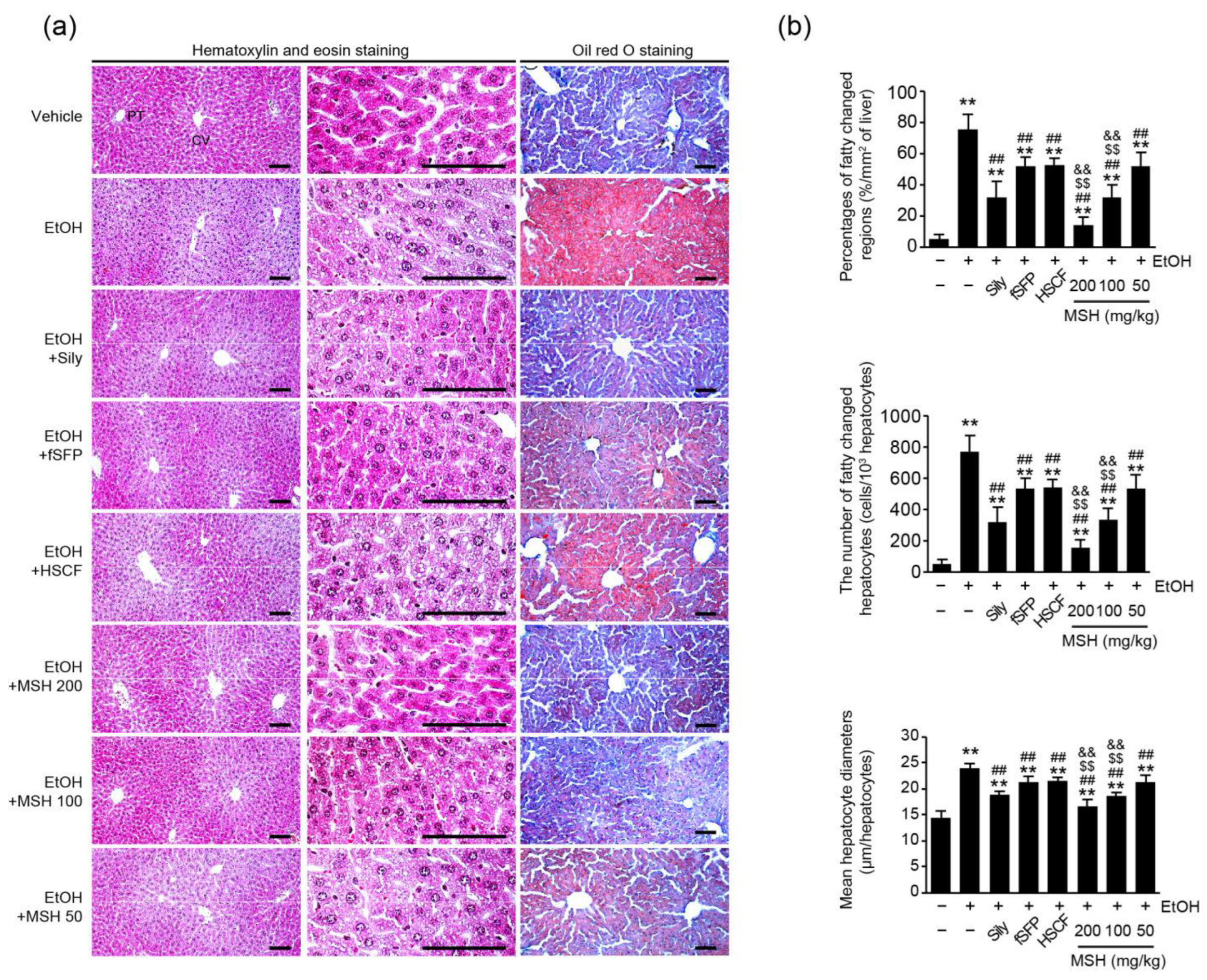 Antioxidants 12 01602 g002