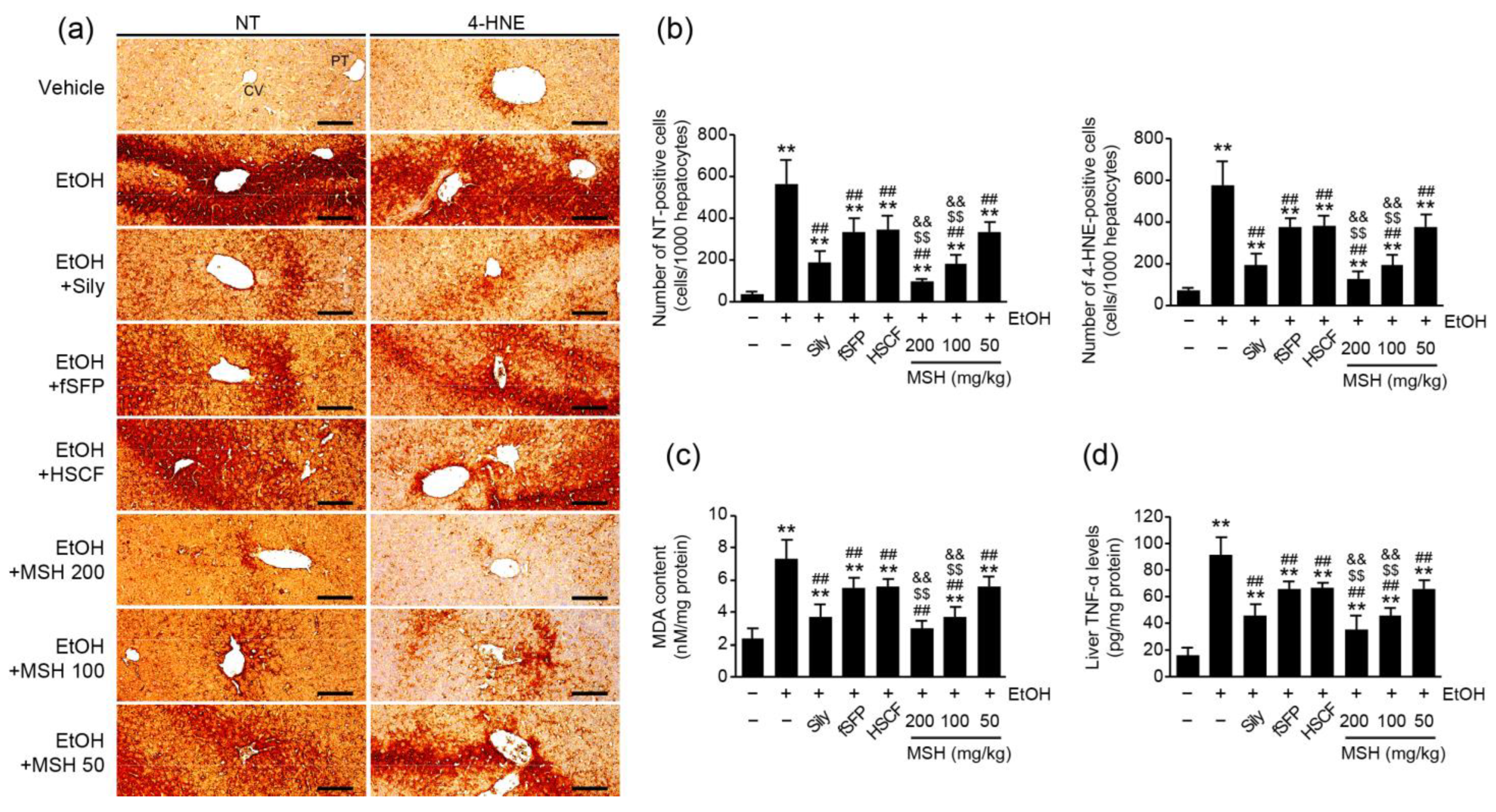 Antioxidants 12 01602 g004