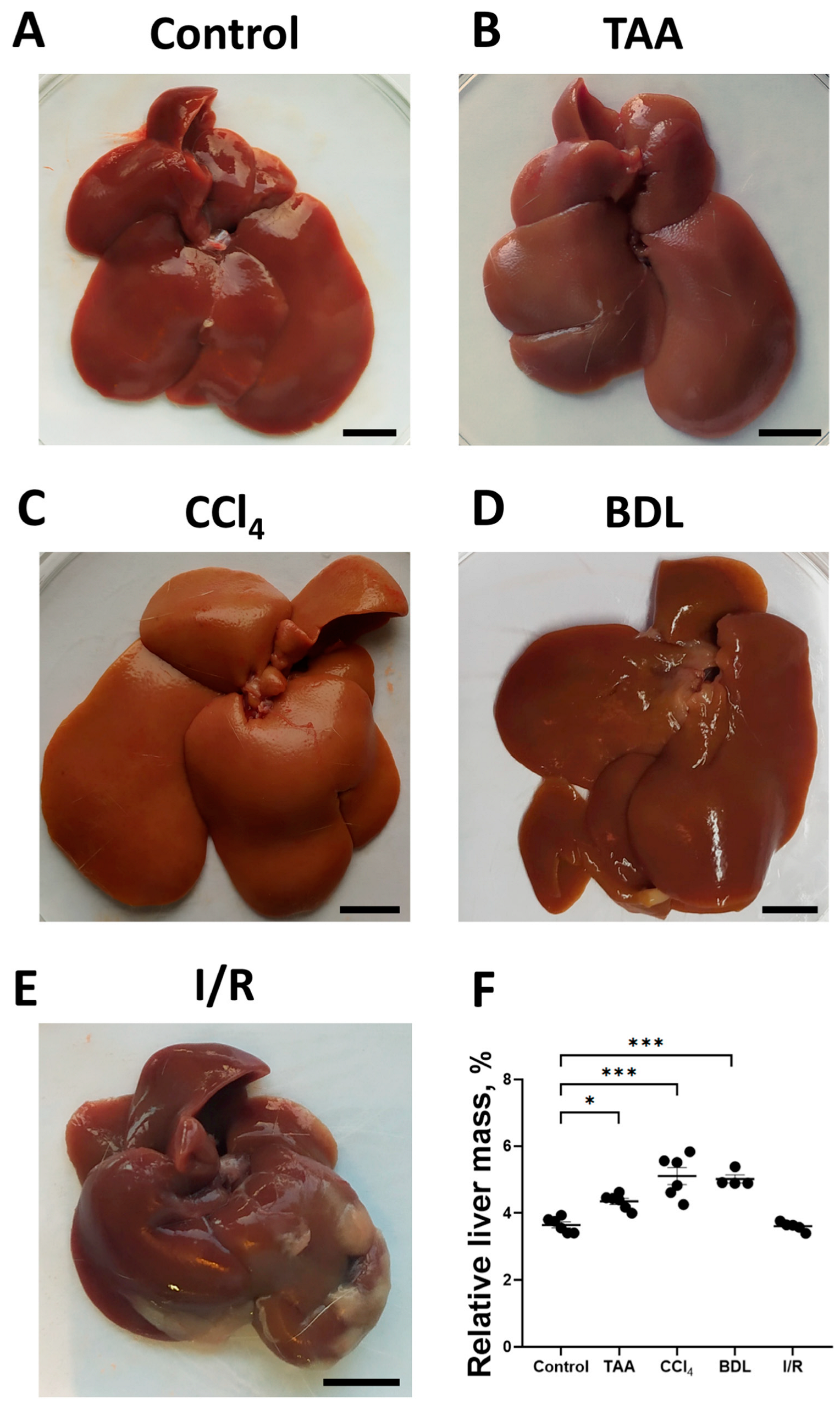 Antioxidants 12 01604 g002