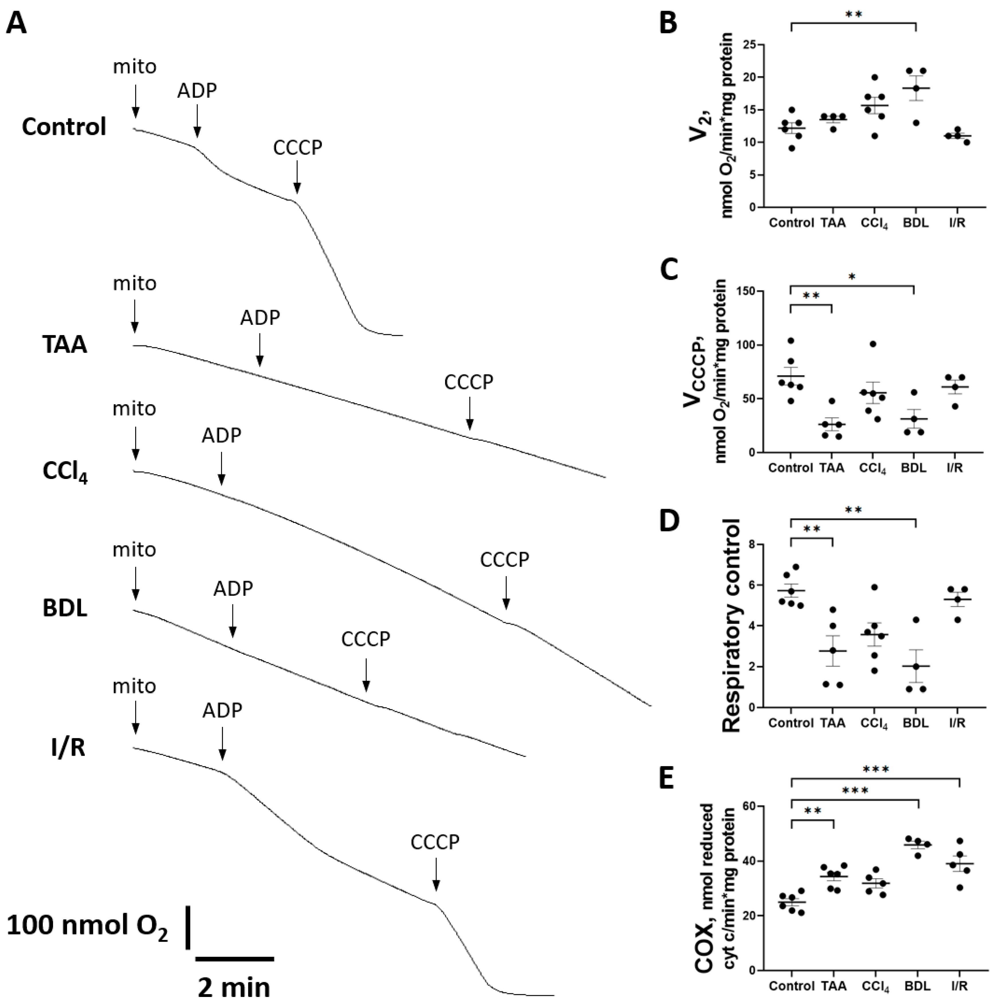 Antioxidants 12 01604 g010