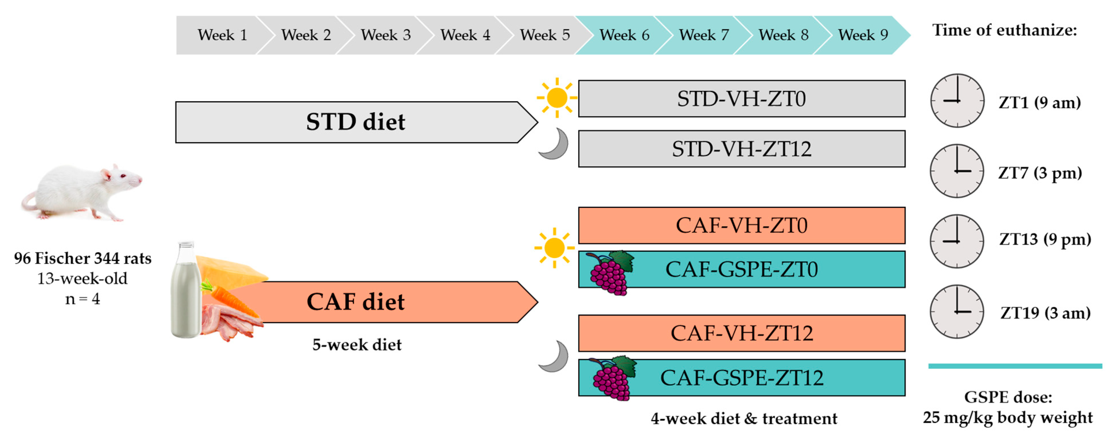 Antioxidants 12 01606 g001