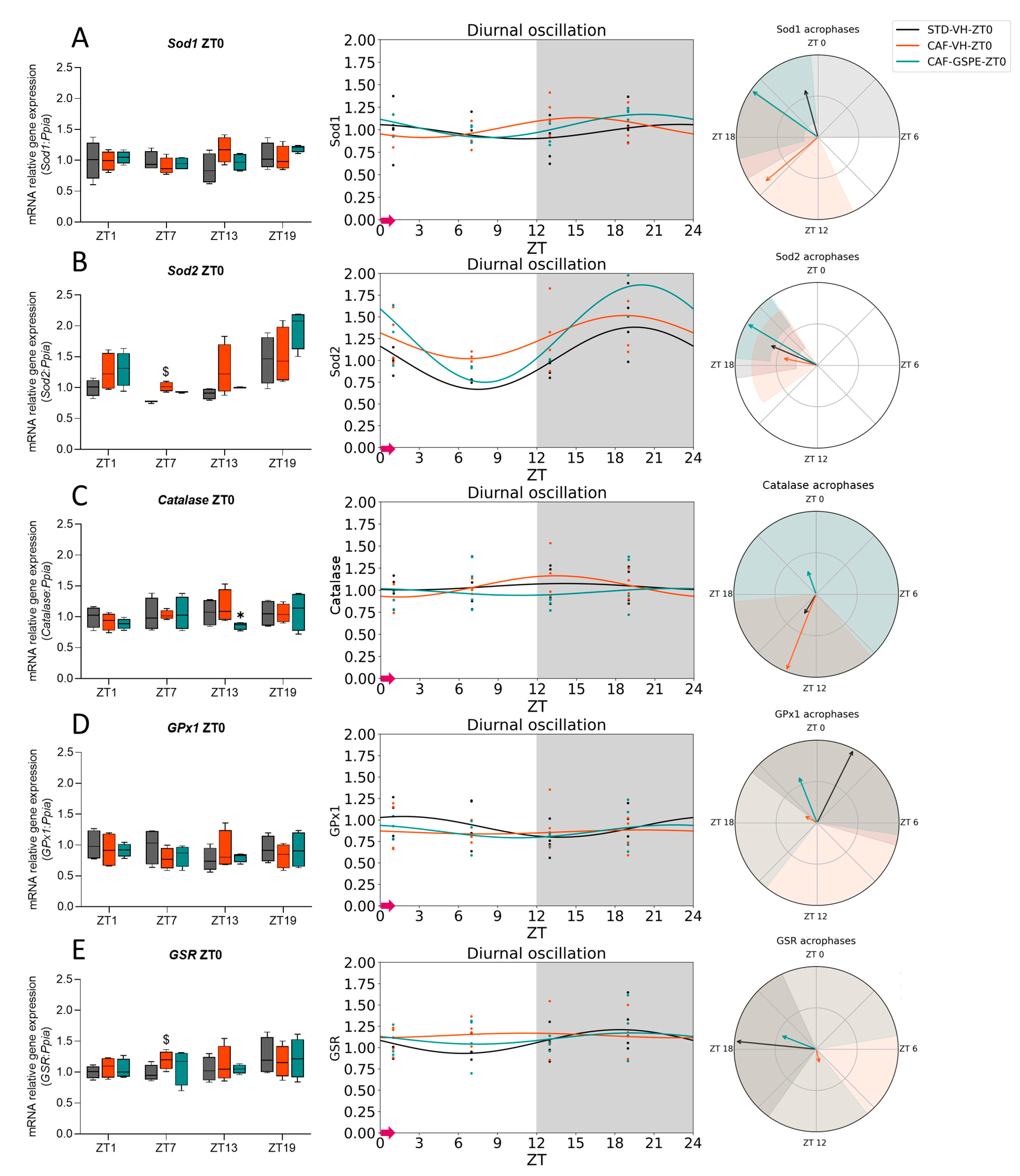 Antioxidants 12 01606 g005