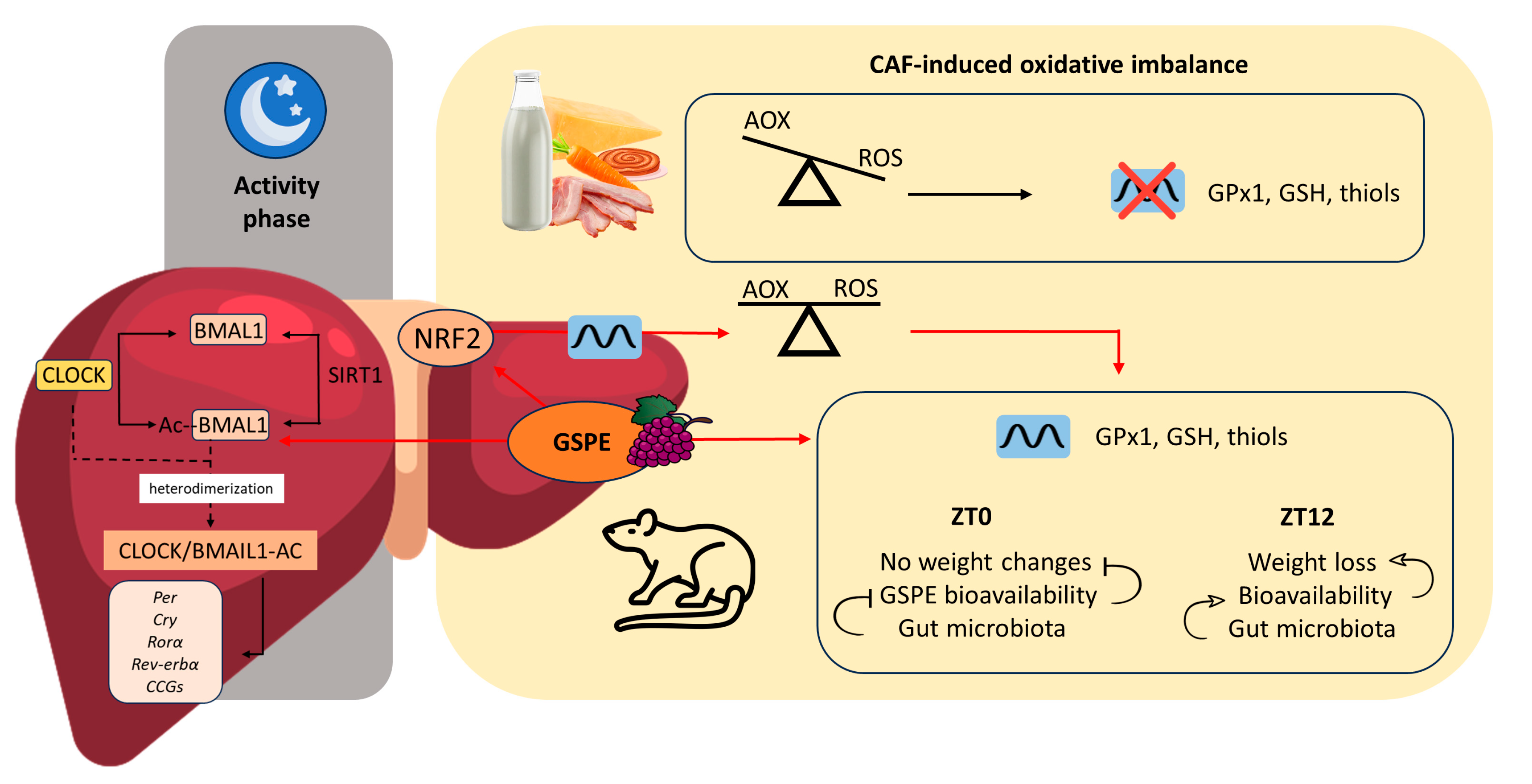 Antioxidants 12 01606 g009