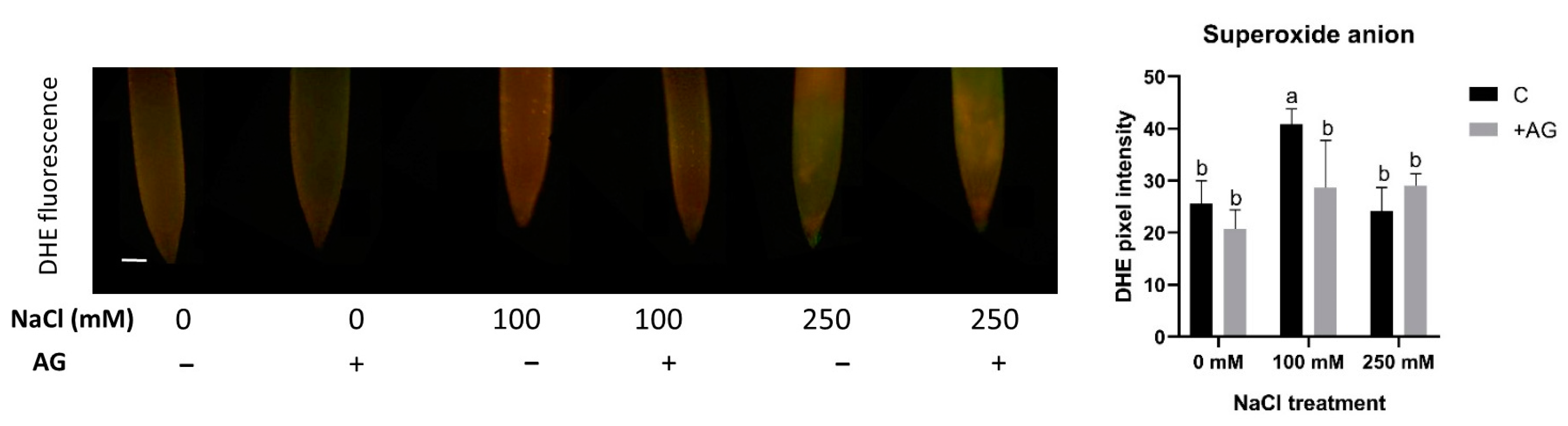 Antioxidants 12 01614 g006