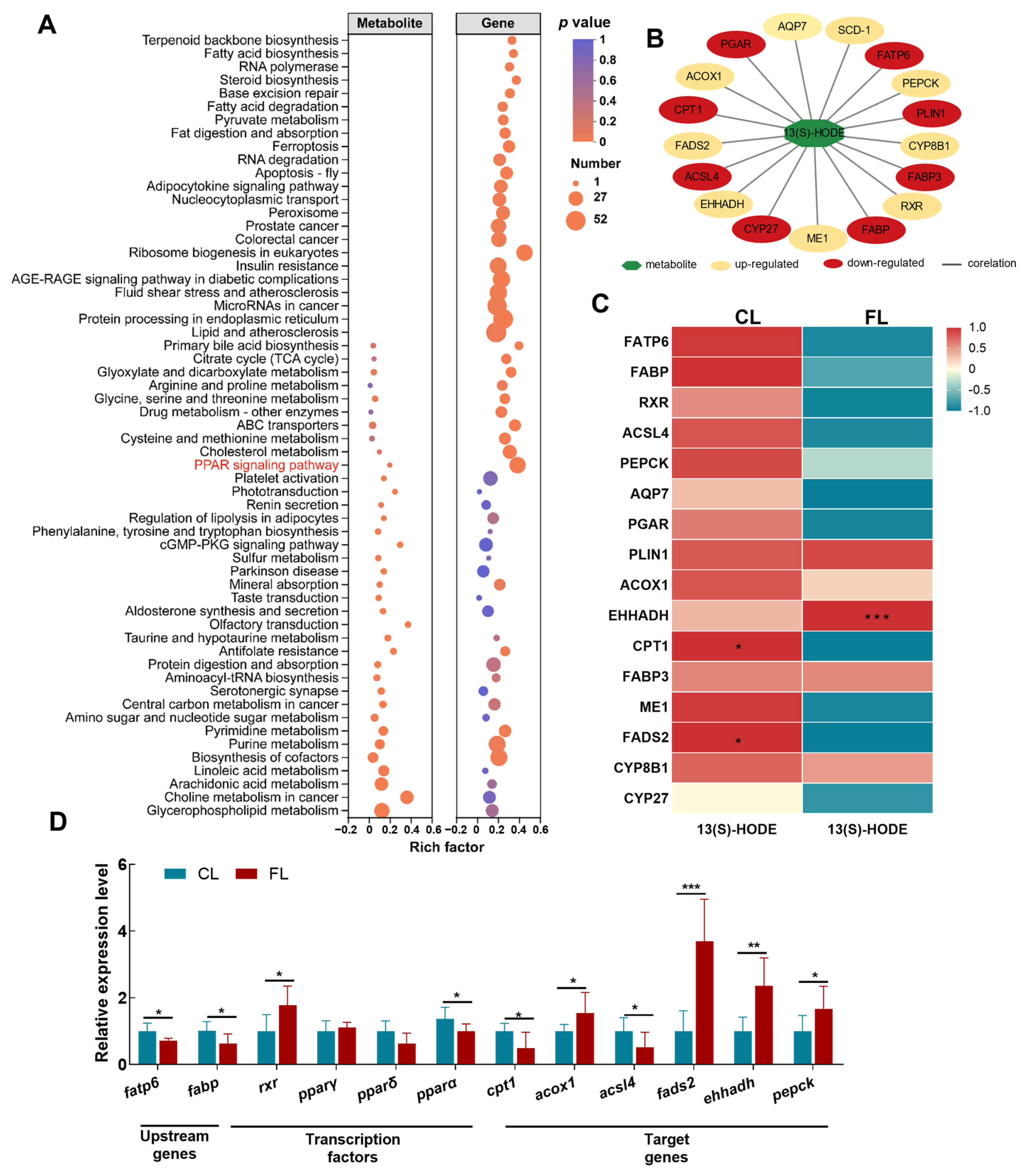 Antioxidants 12 01615 g005