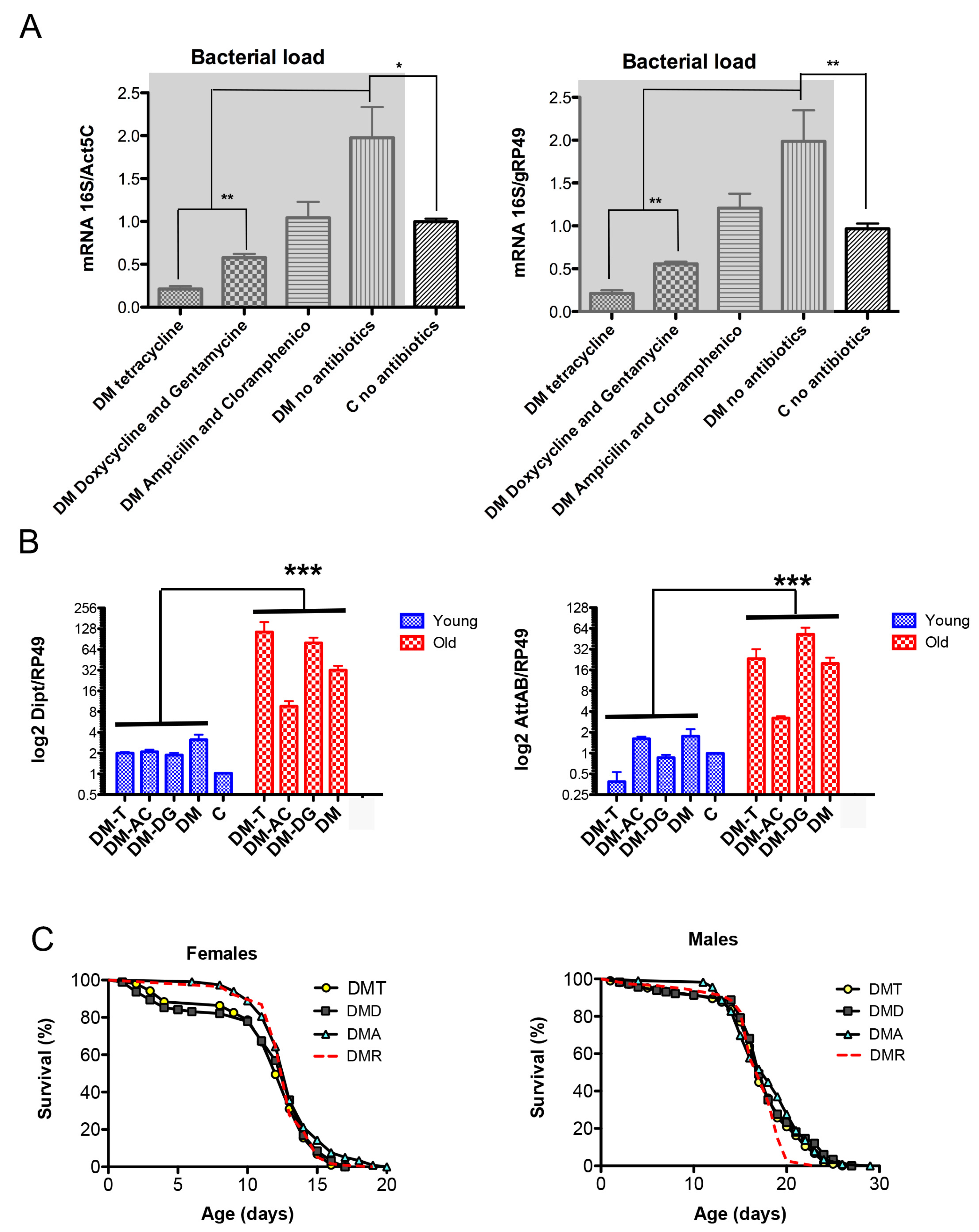 Antioxidants 12 01616 g004