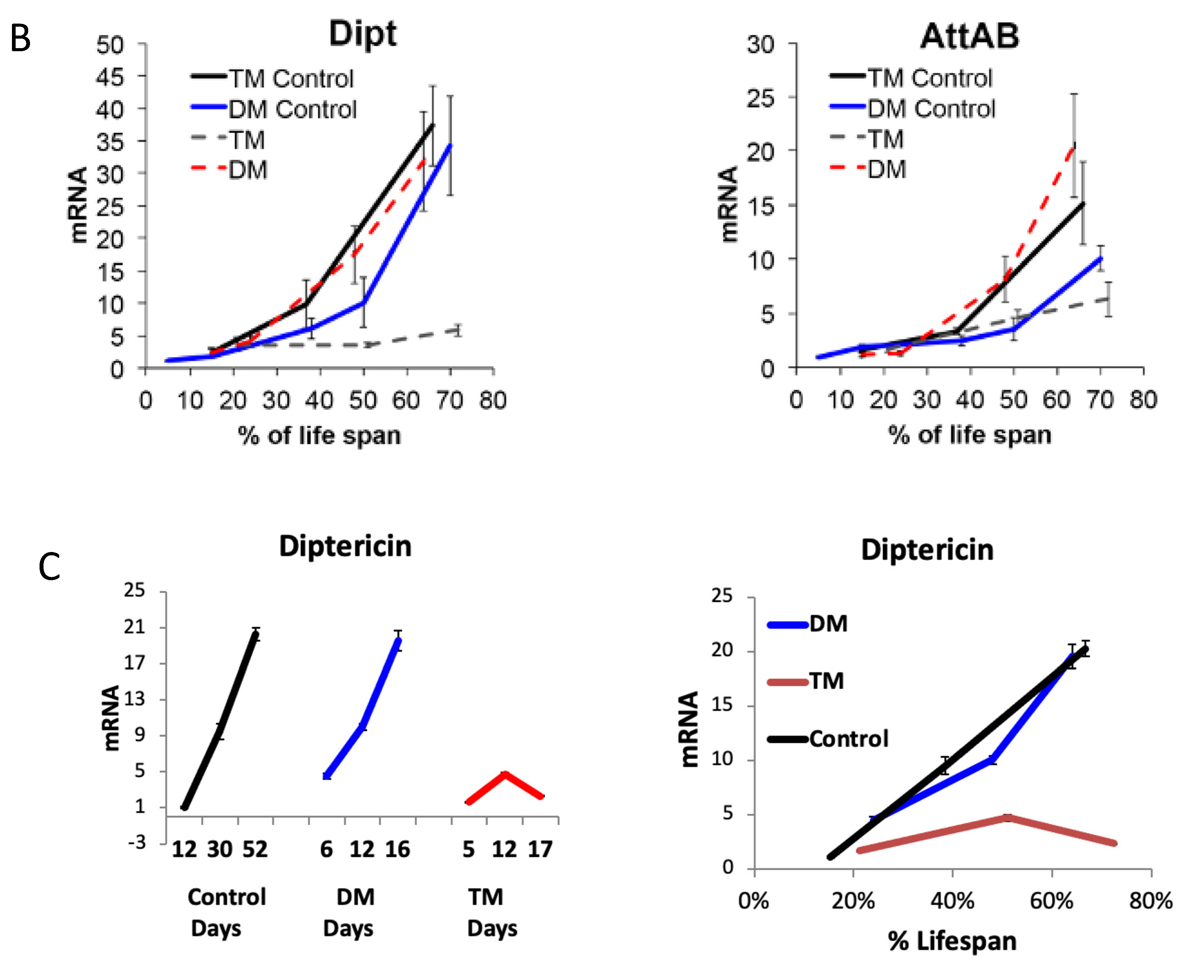 Antioxidants 12 01616 g006b