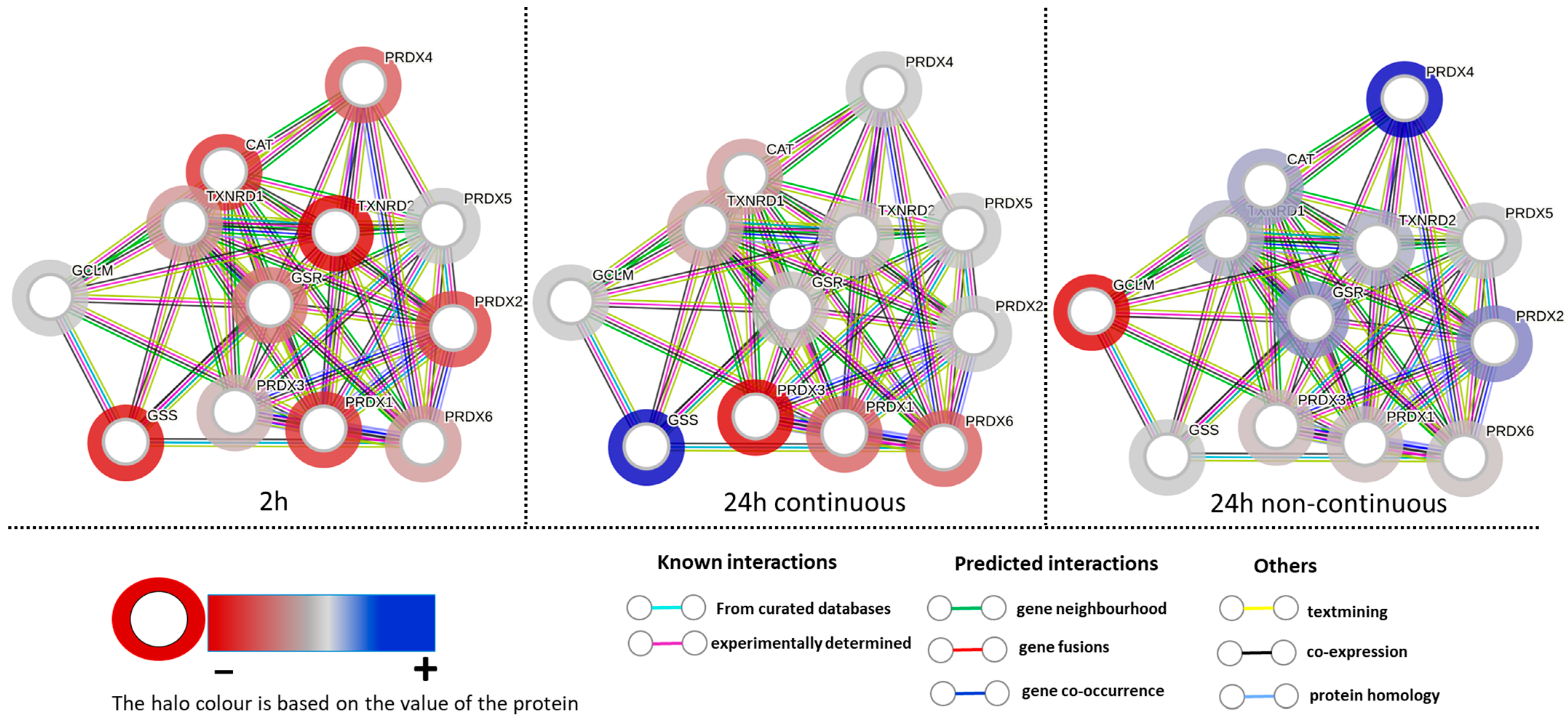 Antioxidants 12 01617 g004 Antioxidants 12 01617 g004