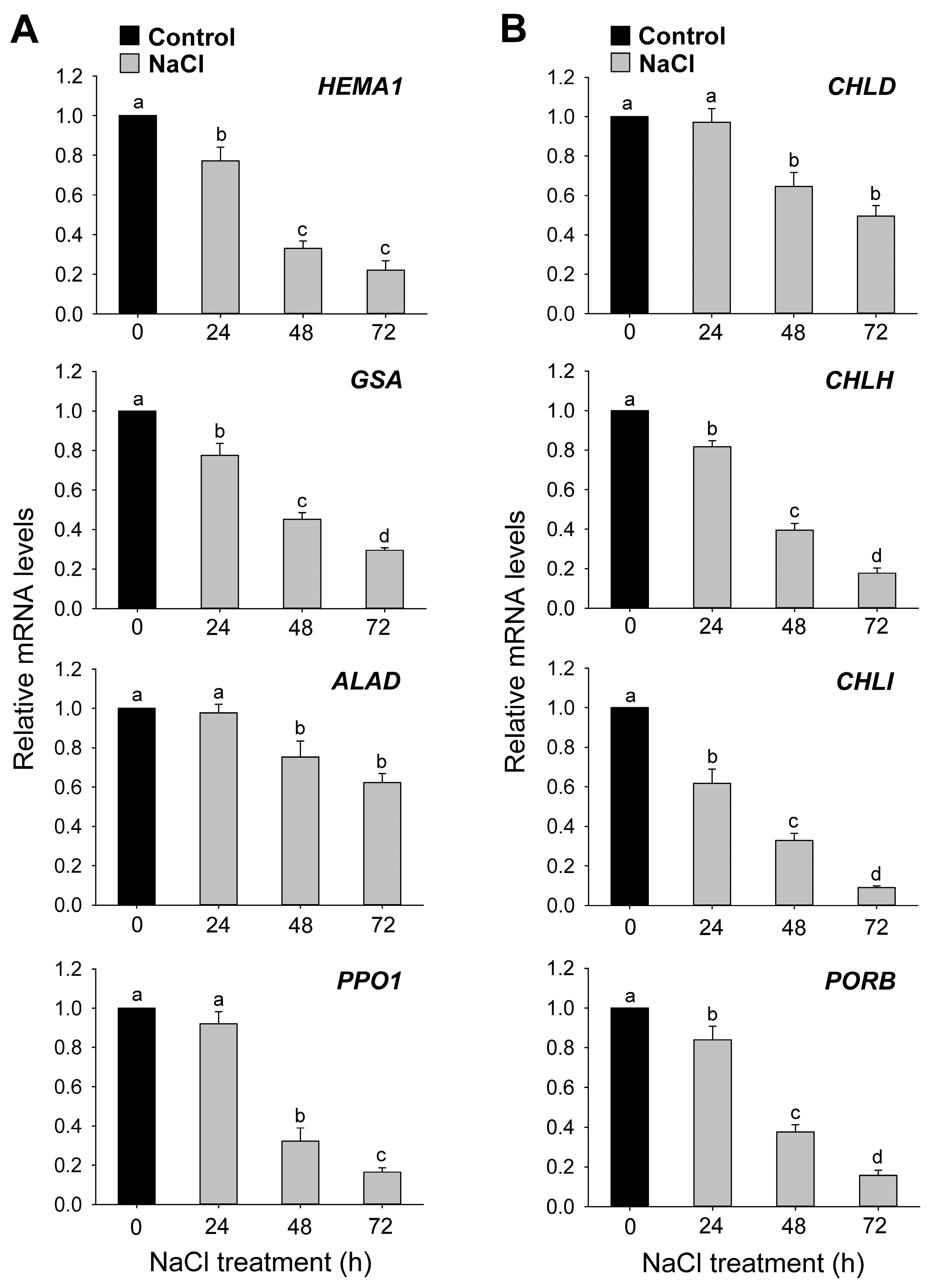 Antioxidants 12 01618 g005 Antioxidants 12 01618 g005