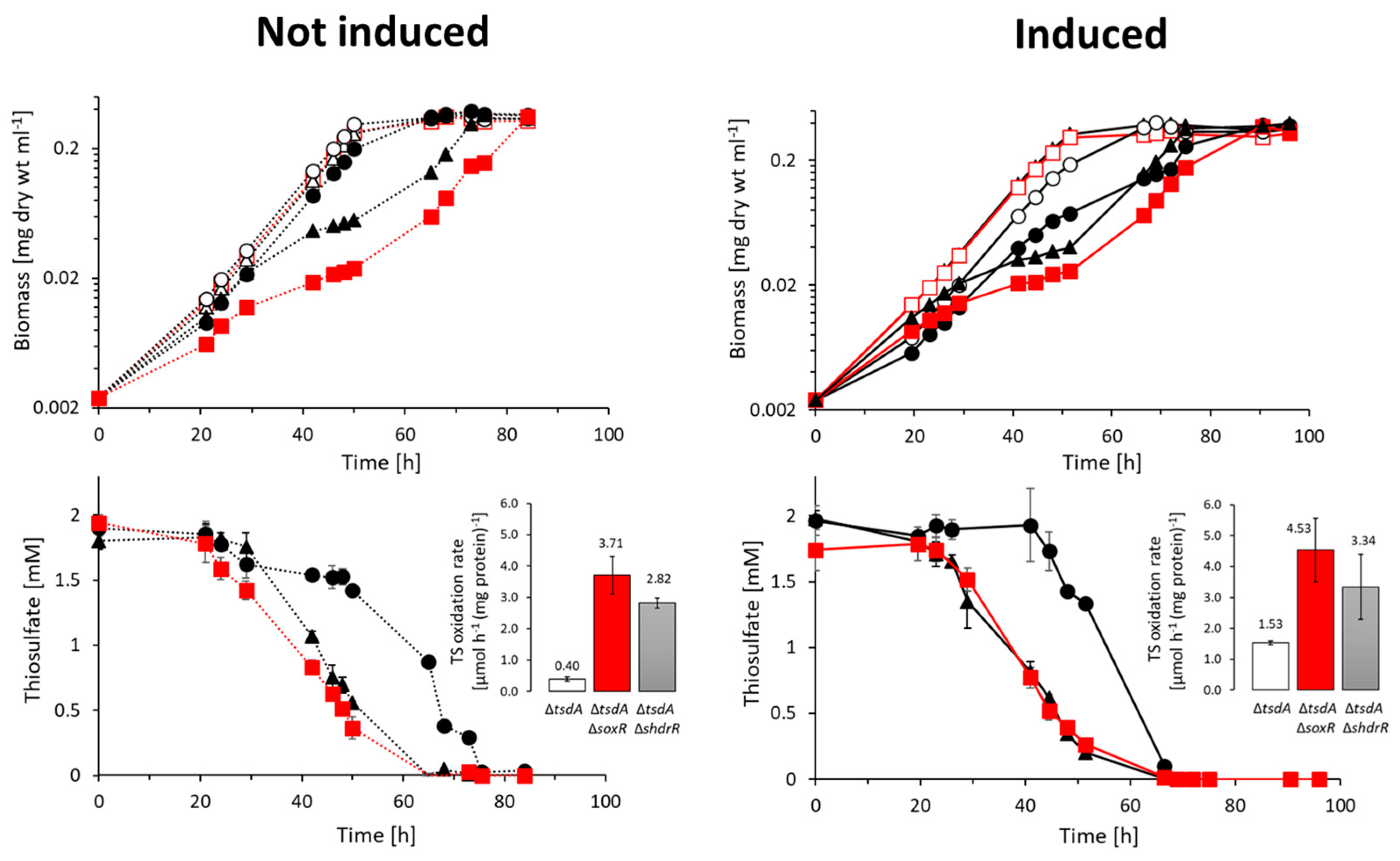 Antioxidants 12 01620 g003