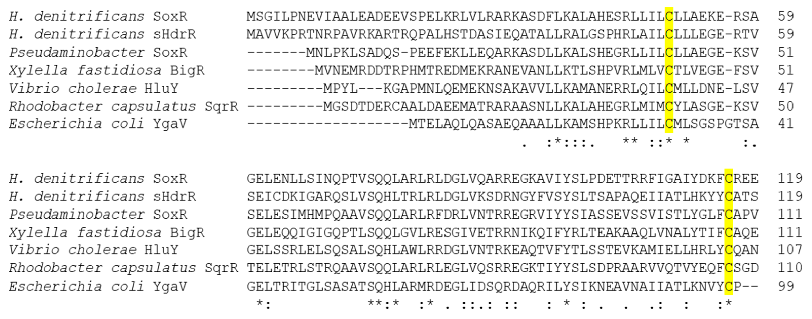 Antioxidants 12 01620 g005