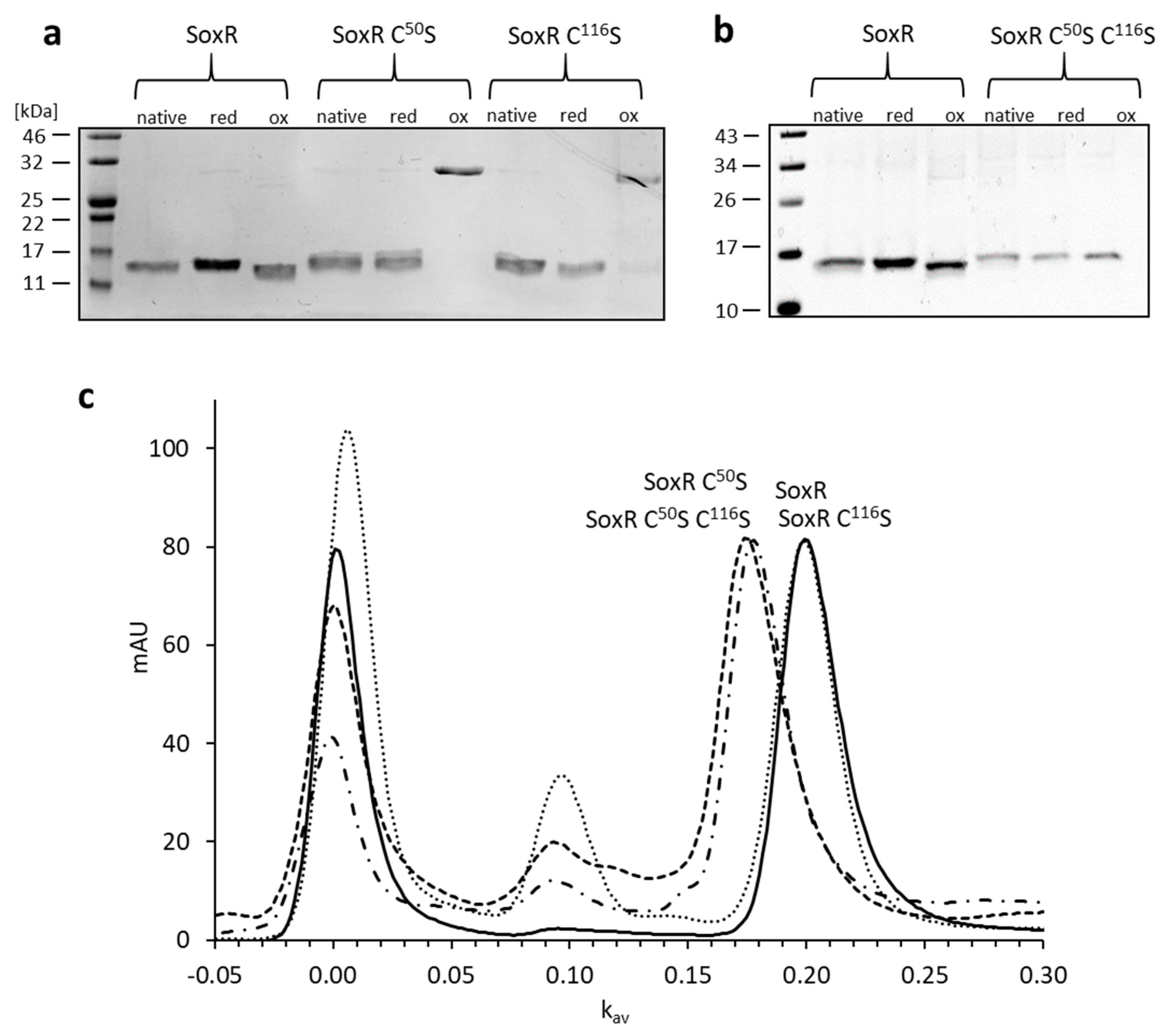Antioxidants 12 01620 g006
