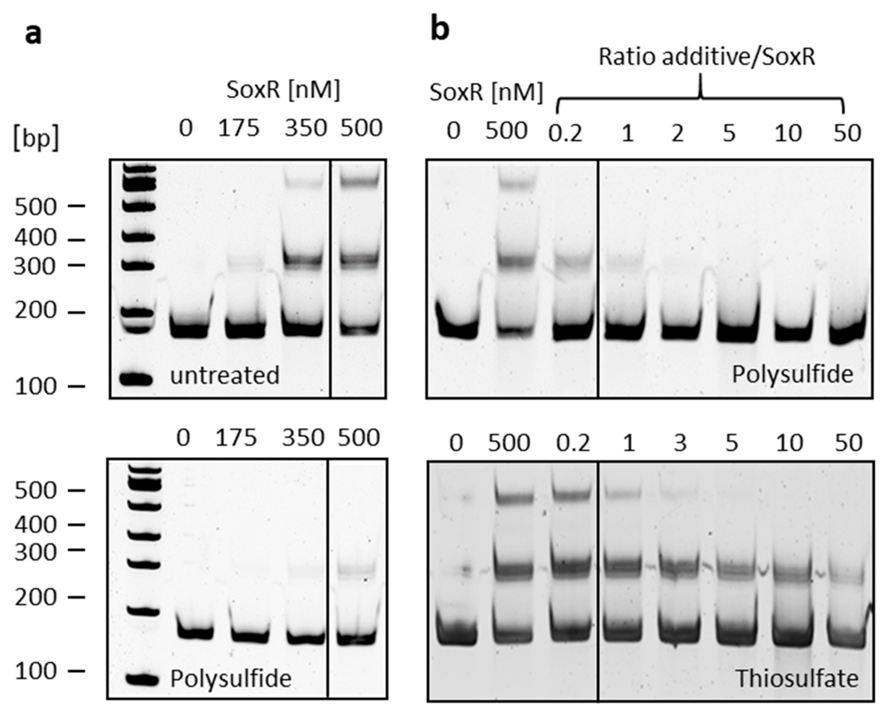 Antioxidants 12 01620 g007