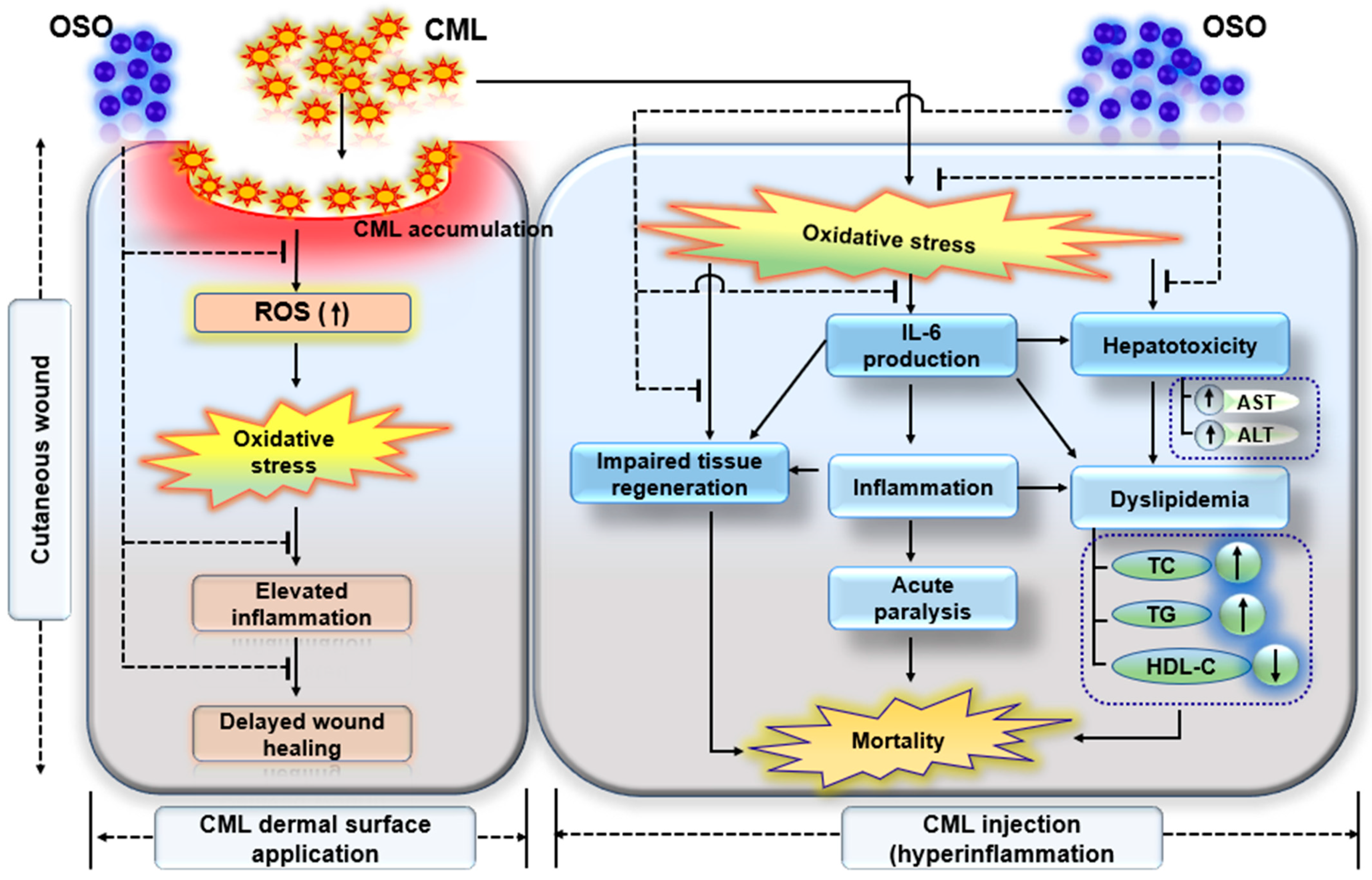 Antioxidants 12 01625 g009