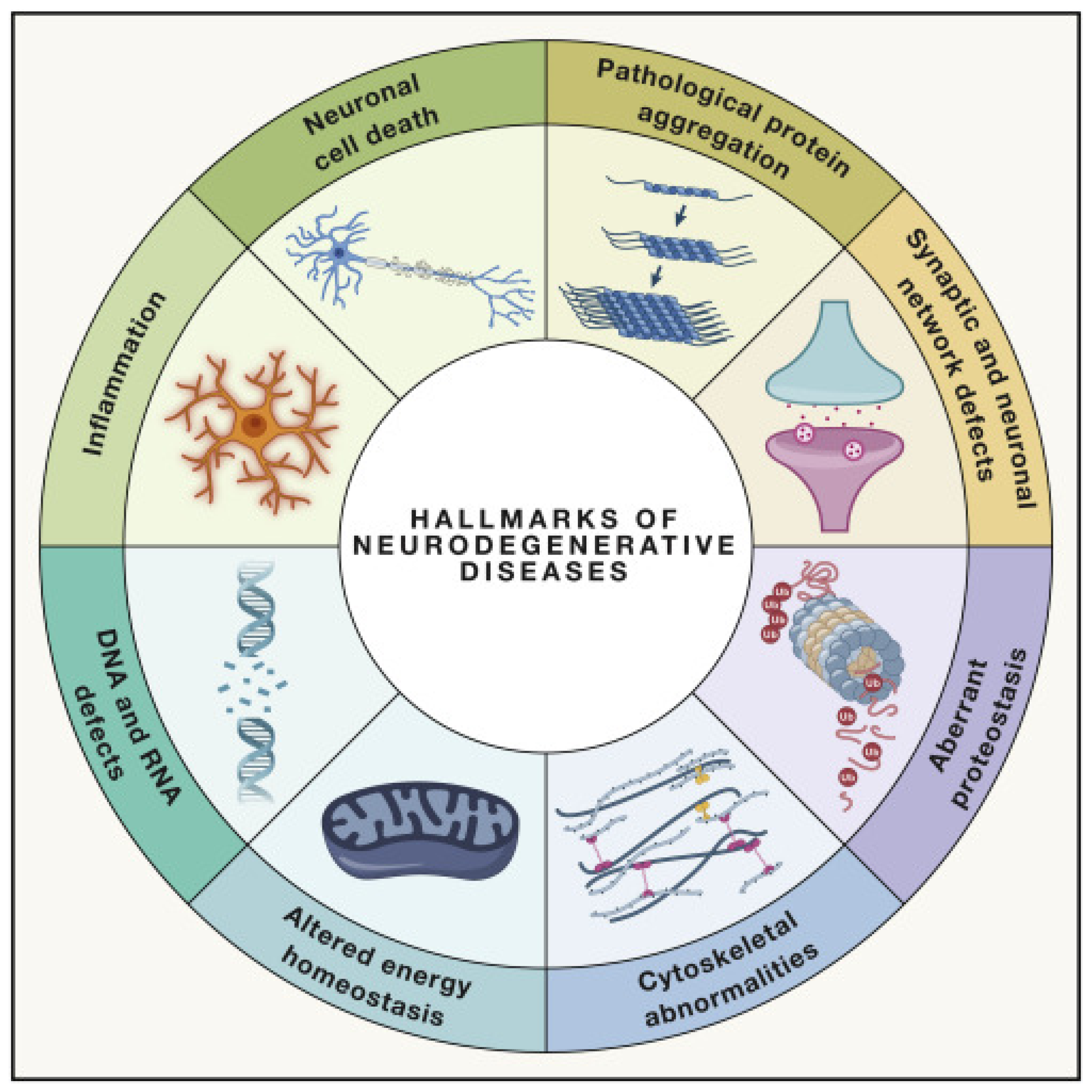 Antioxidants 12 01628 g001