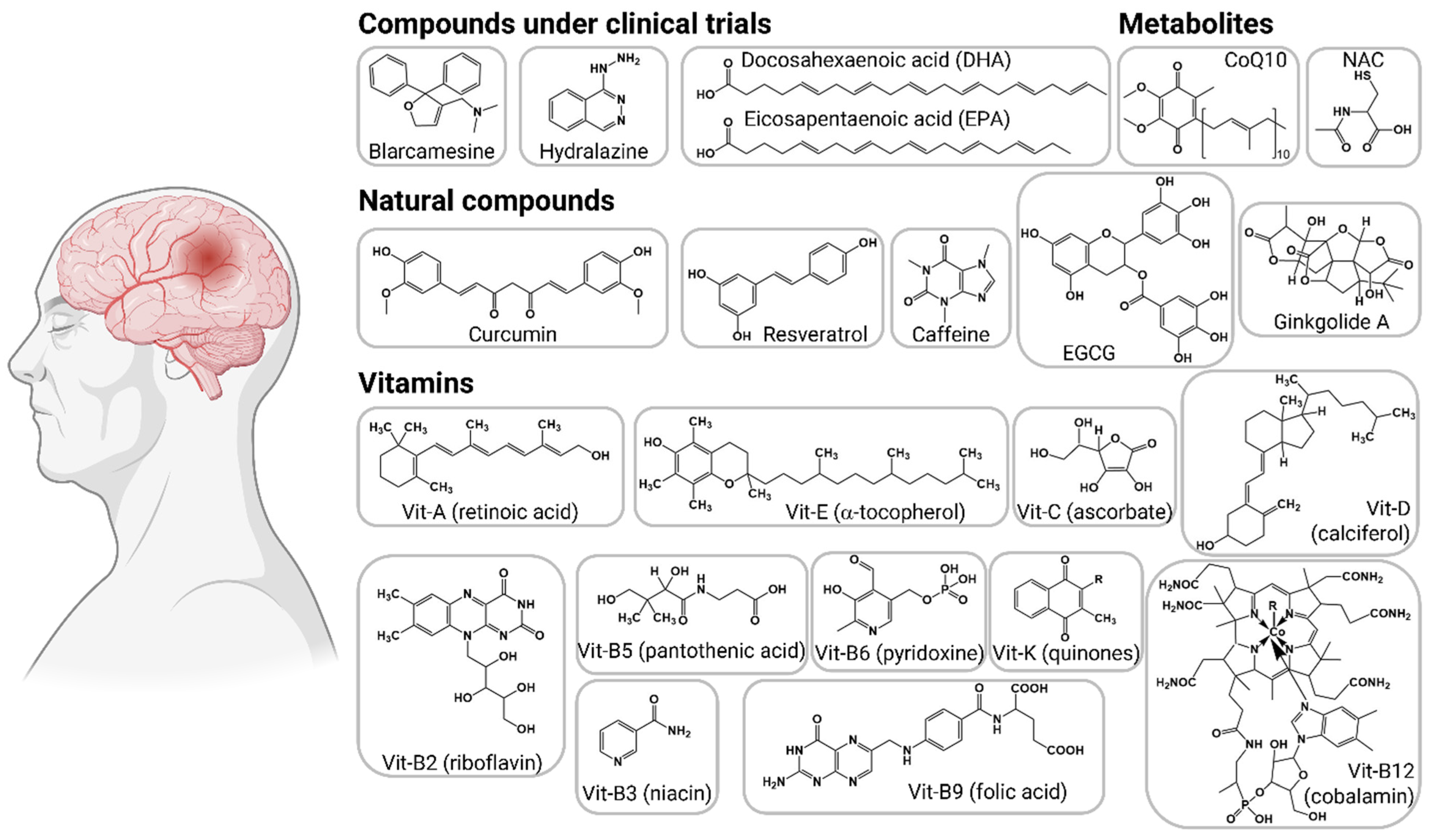 Antioxidants 12 01628 g005