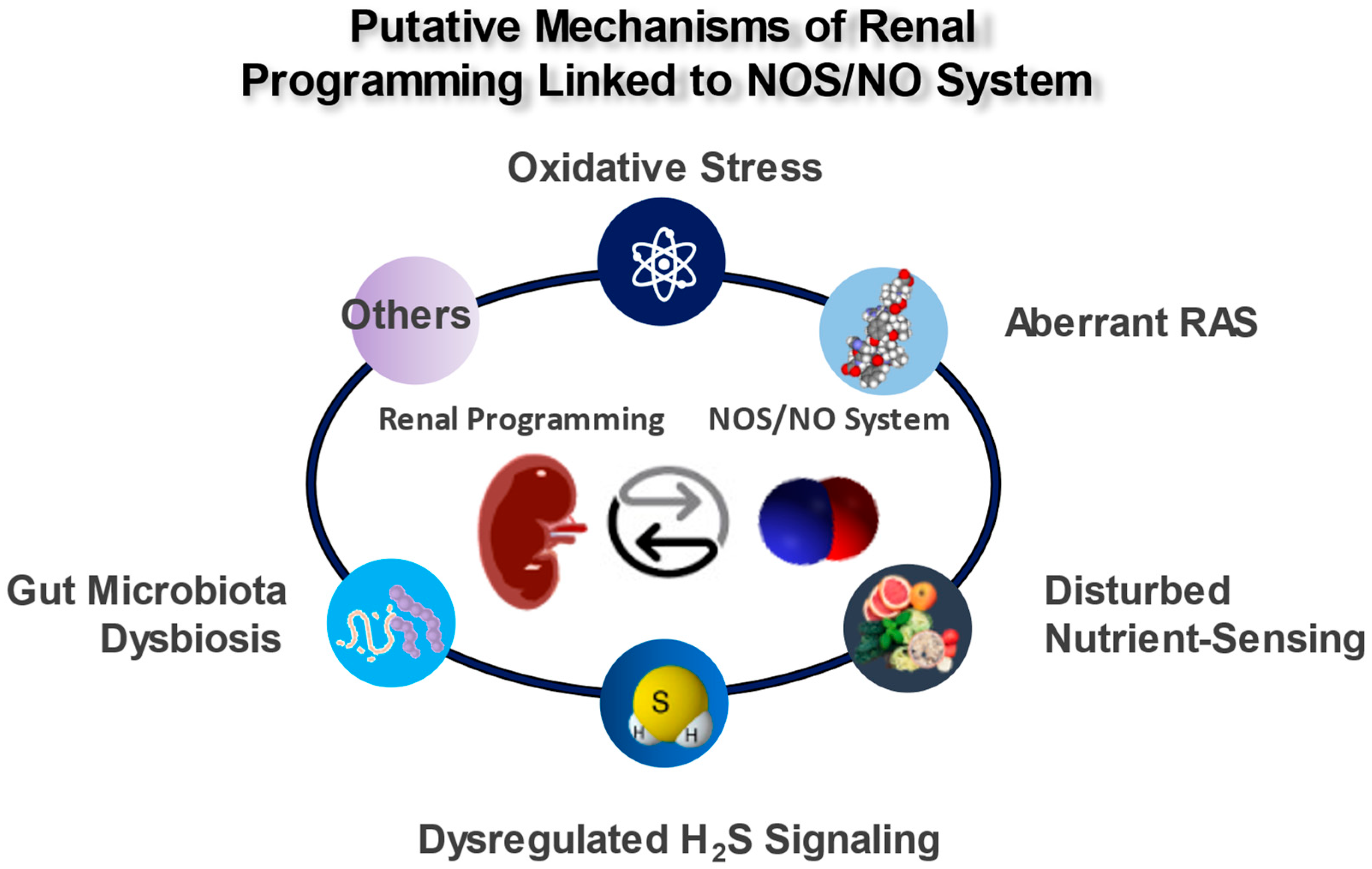 Antioxidants 12 01629 g002