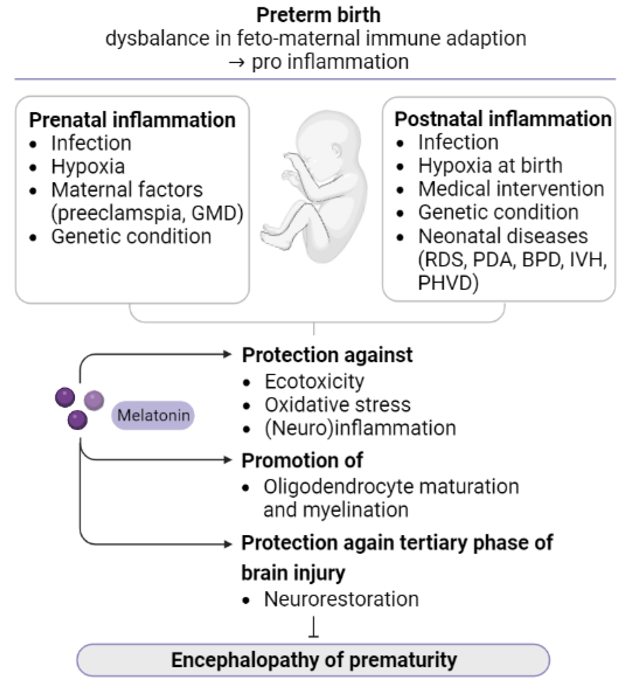 Antioxidants 12 01630 g002