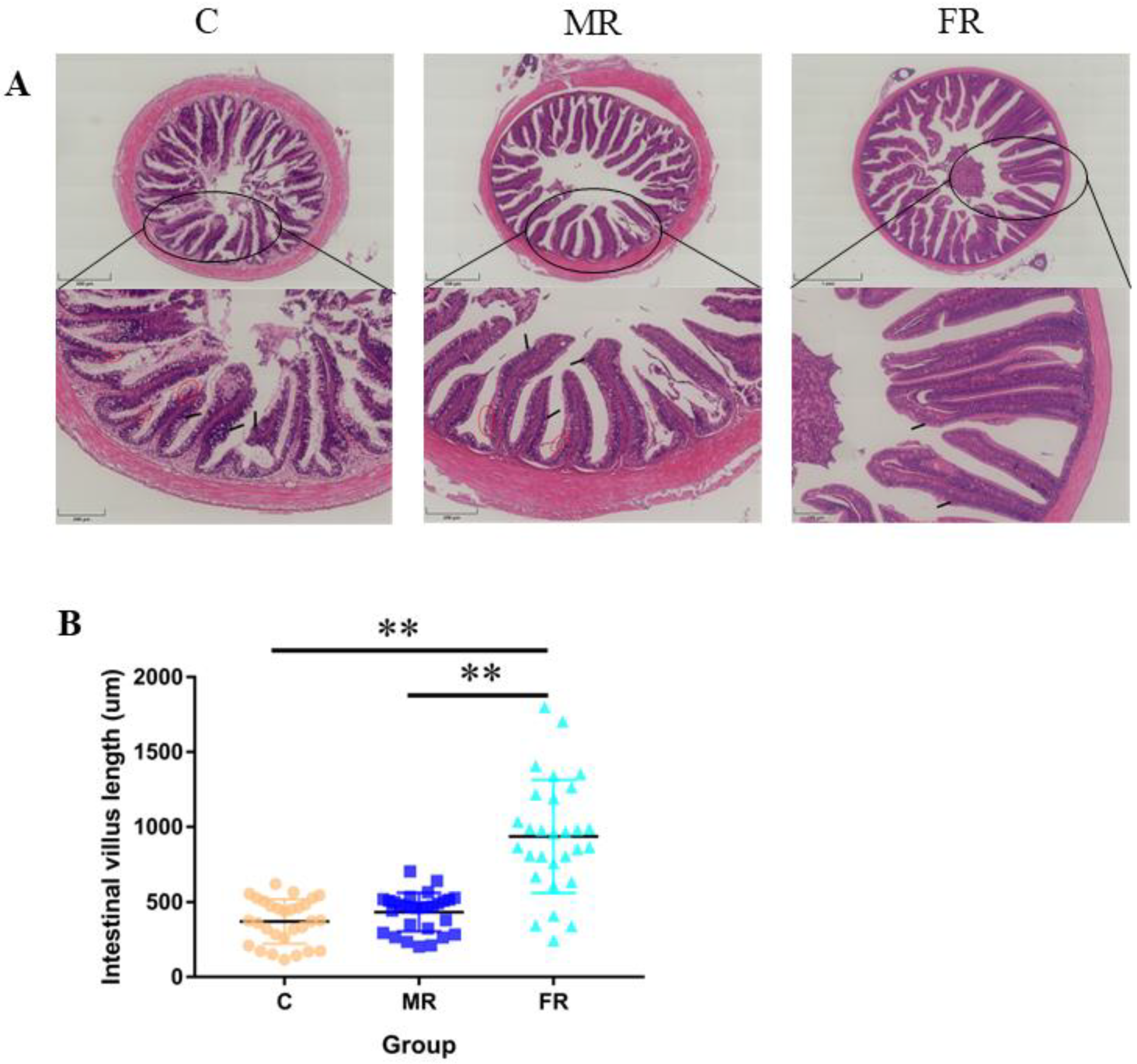Antioxidants 12 01631 g002