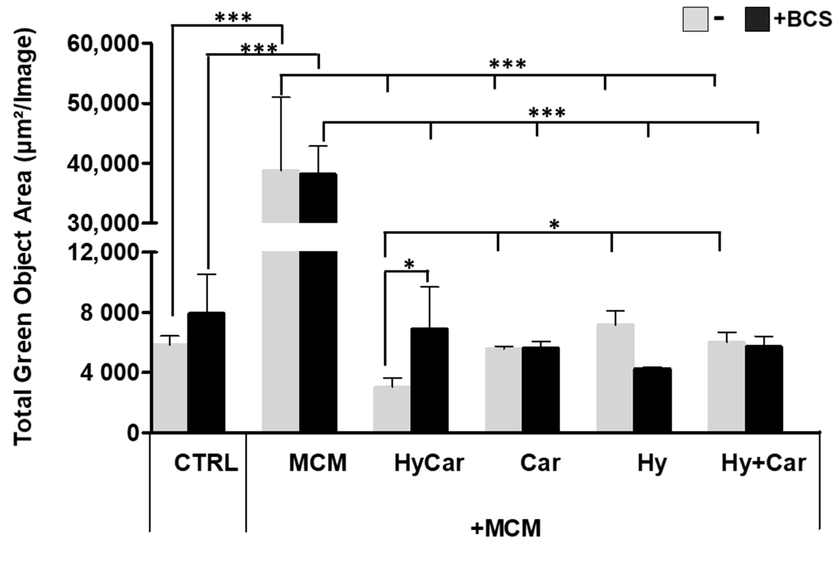 Antioxidants 12 01632 g007