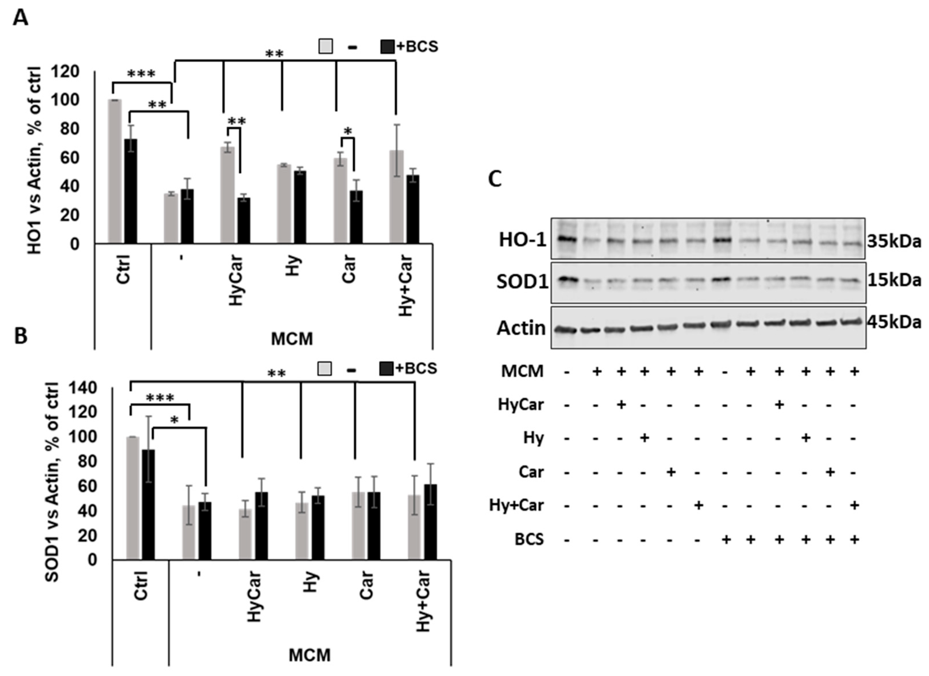 Antioxidants 12 01632 g009