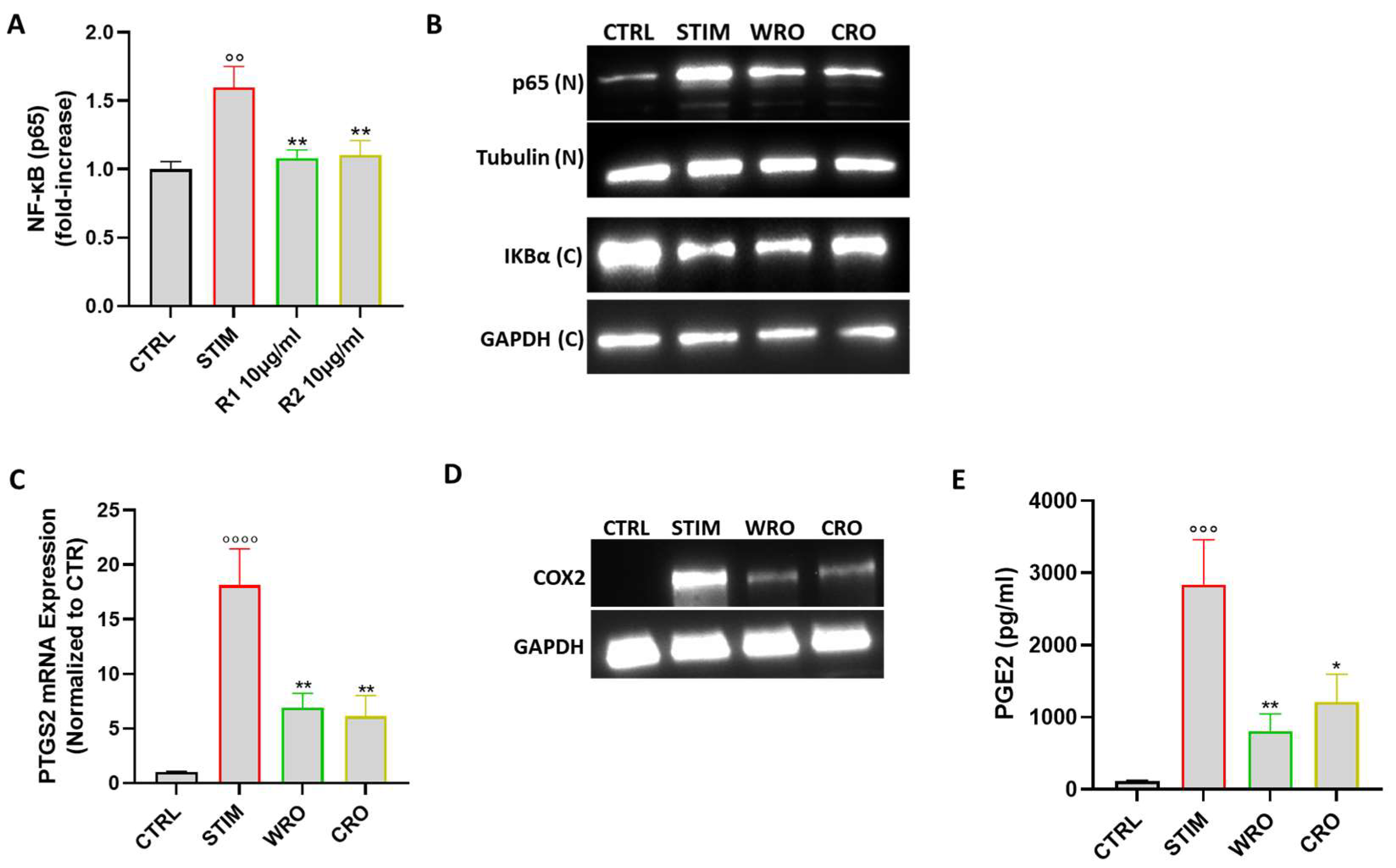 Antioxidants 12 01633 g005
