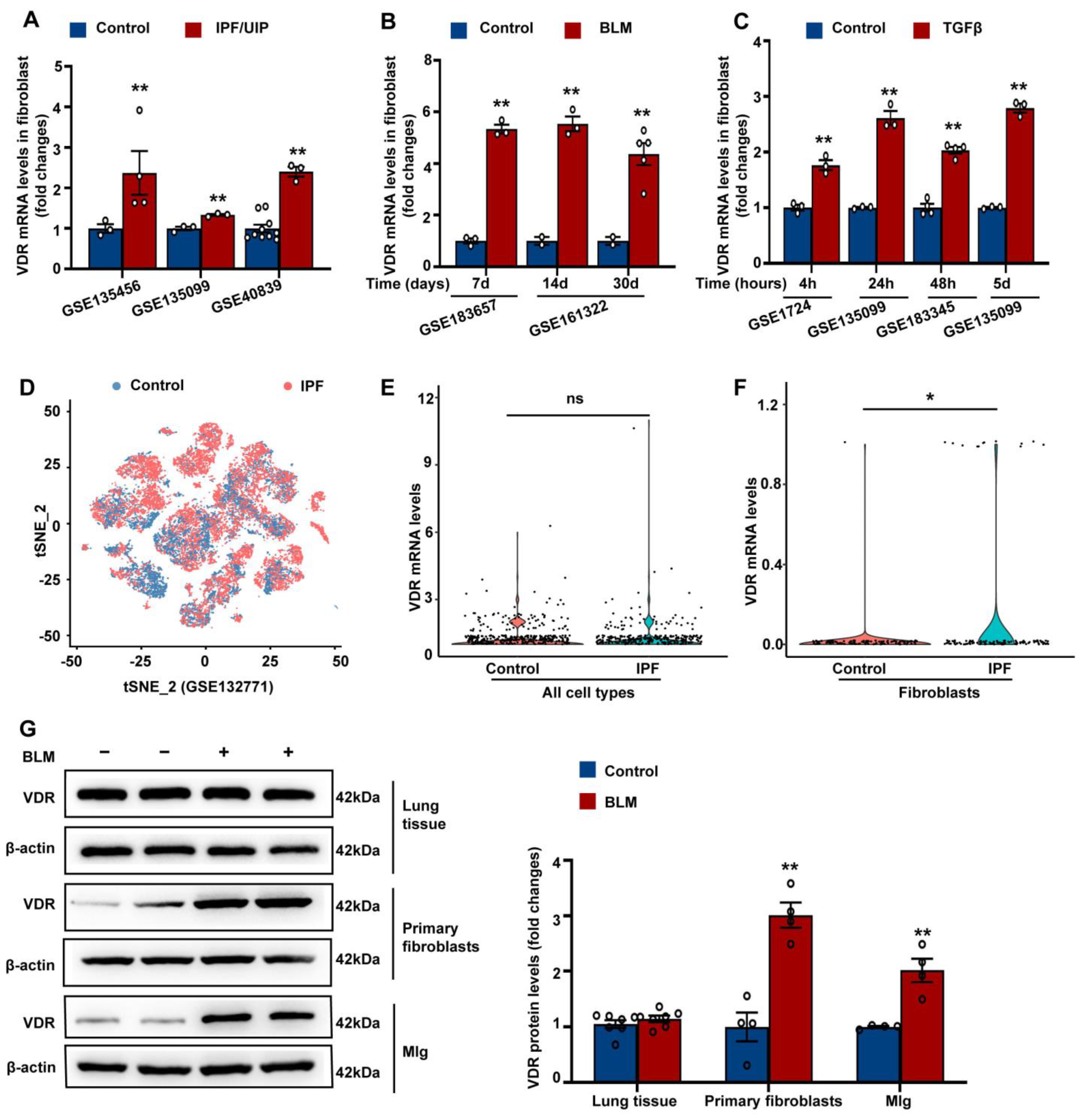 Antioxidants 12 01634 g001