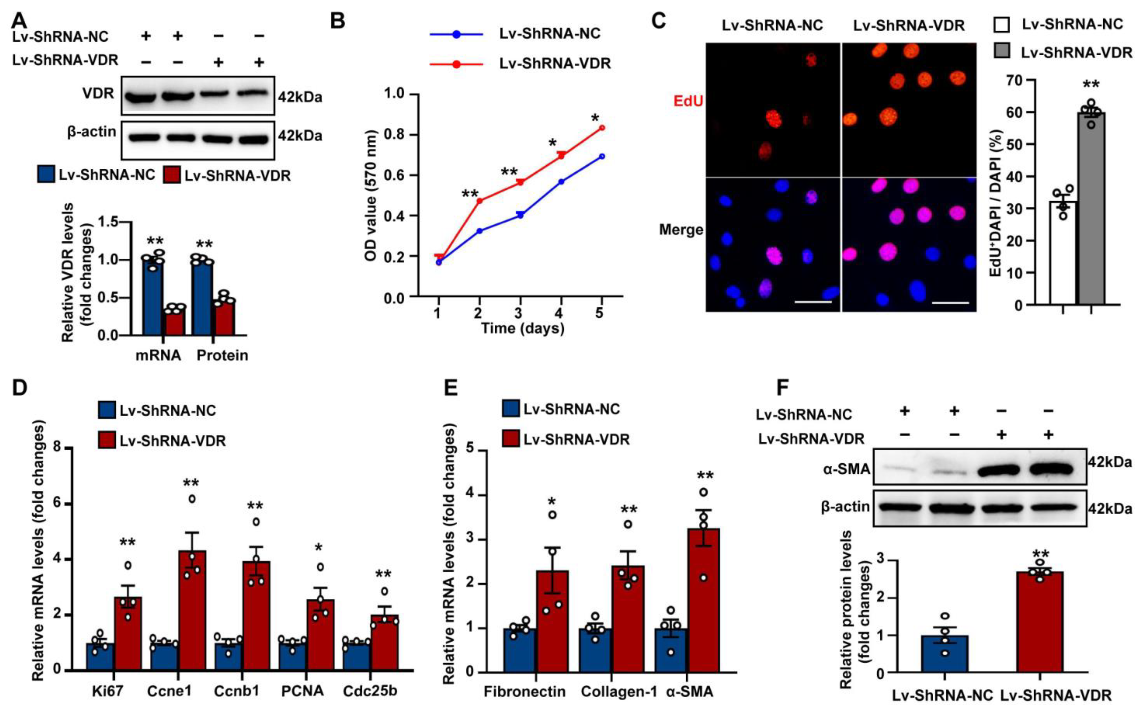 Antioxidants 12 01634 g002