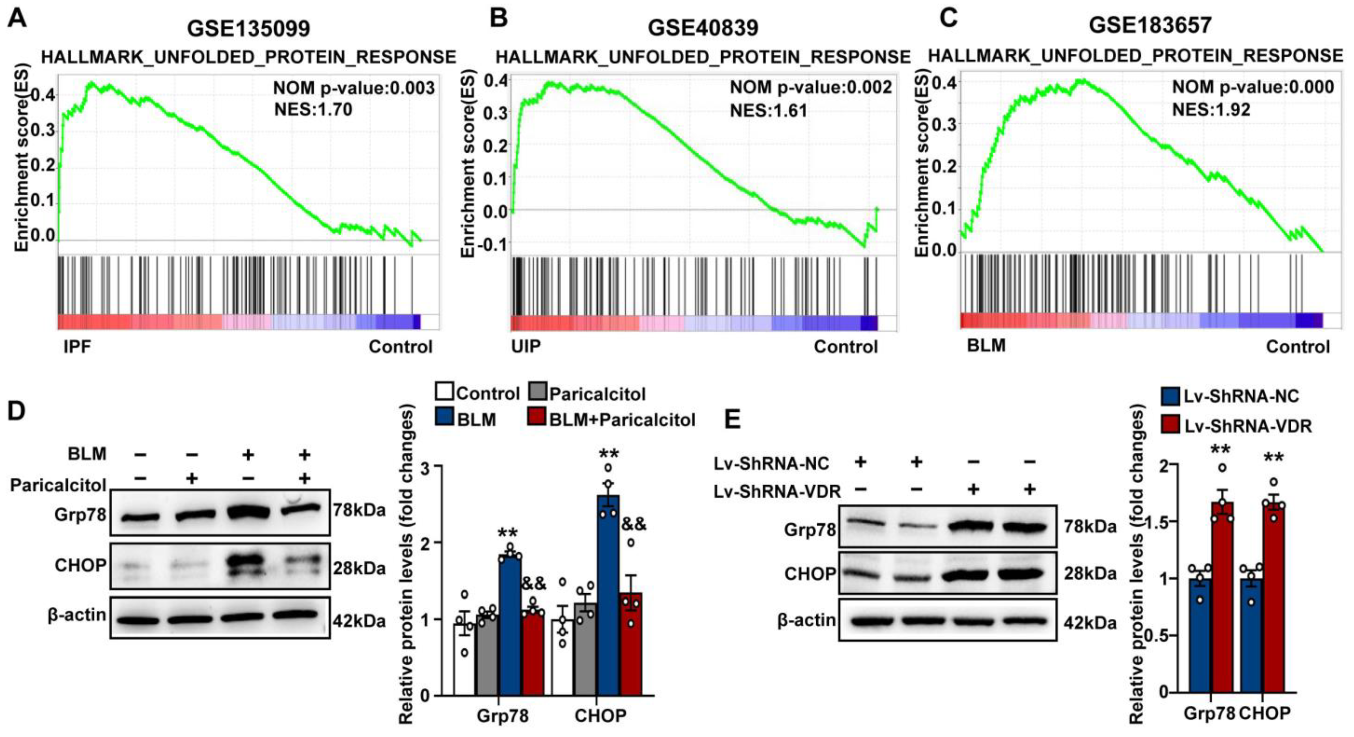 Antioxidants 12 01634 g004