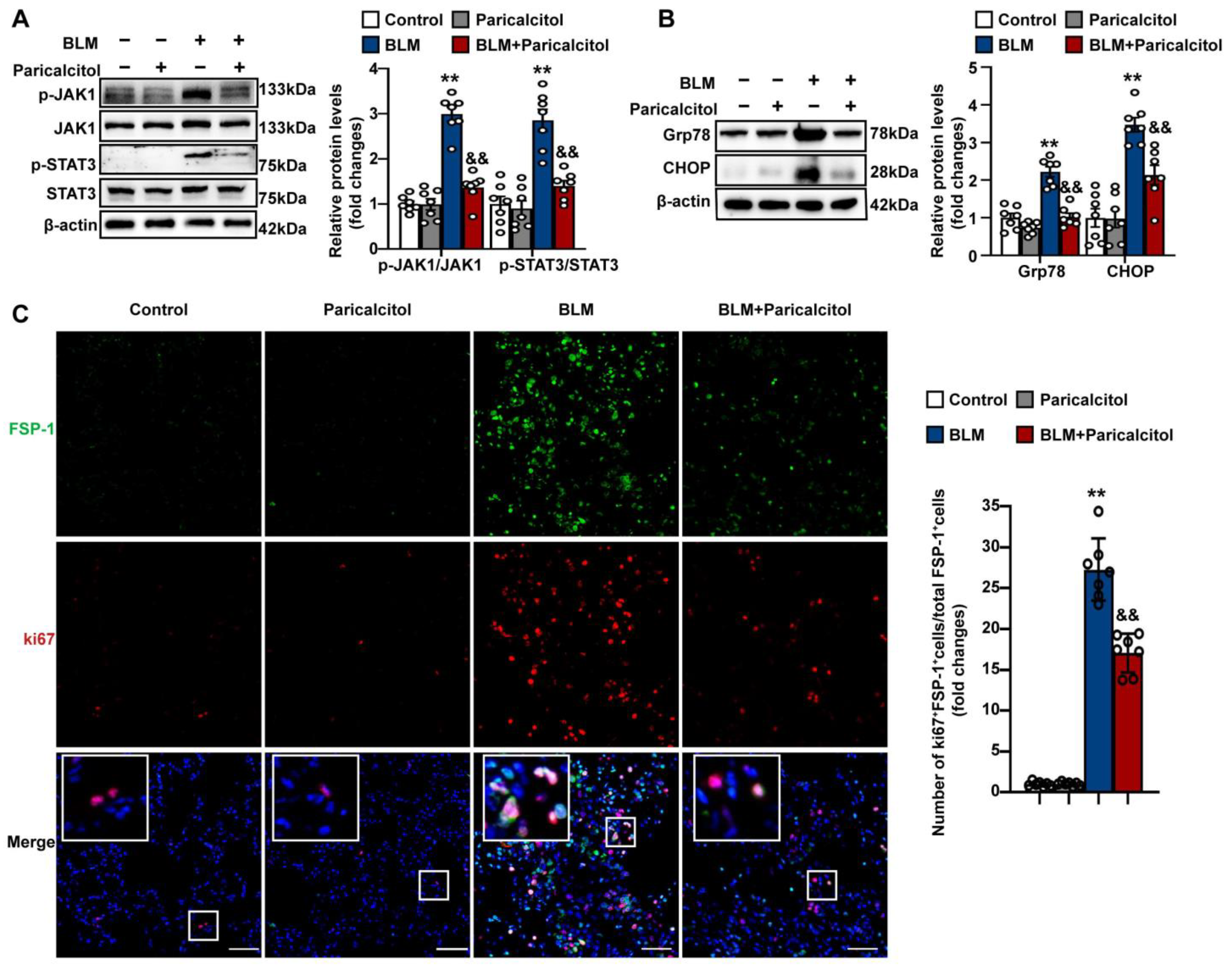 Antioxidants 12 01634 g007