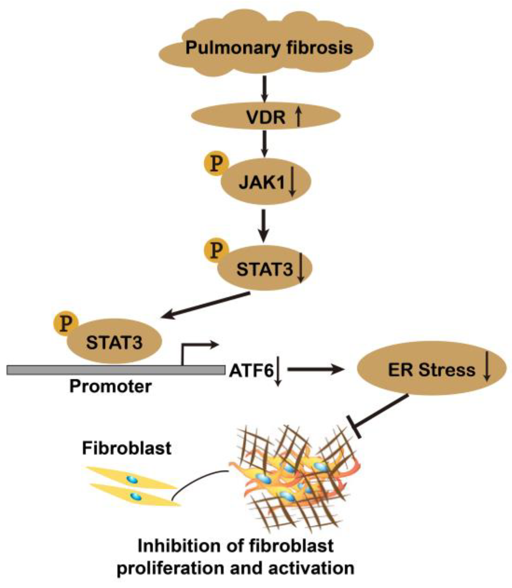 Antioxidants 12 01634 g012