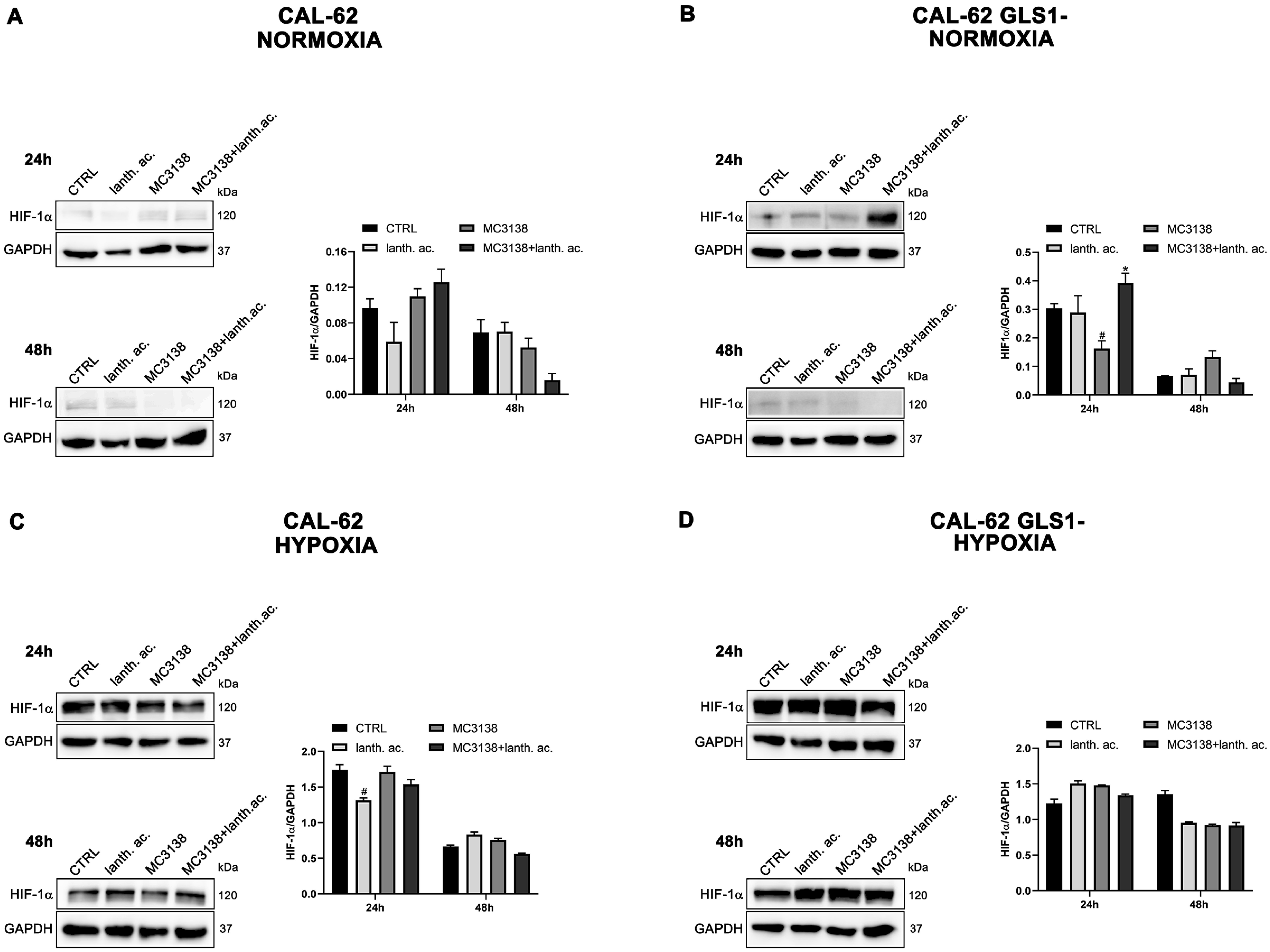 Antioxidants 12 01635 g004