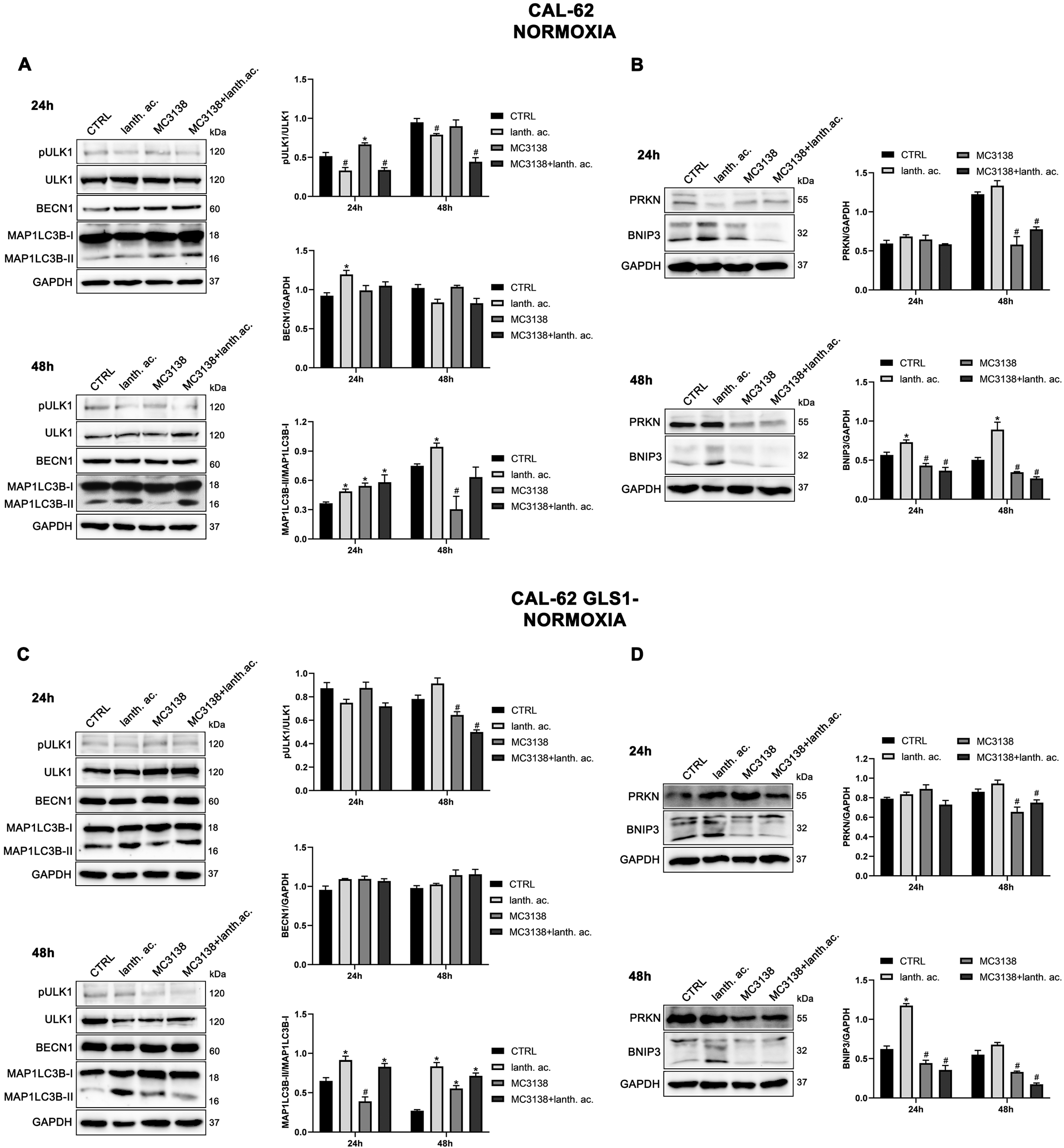 Antioxidants 12 01635 g009