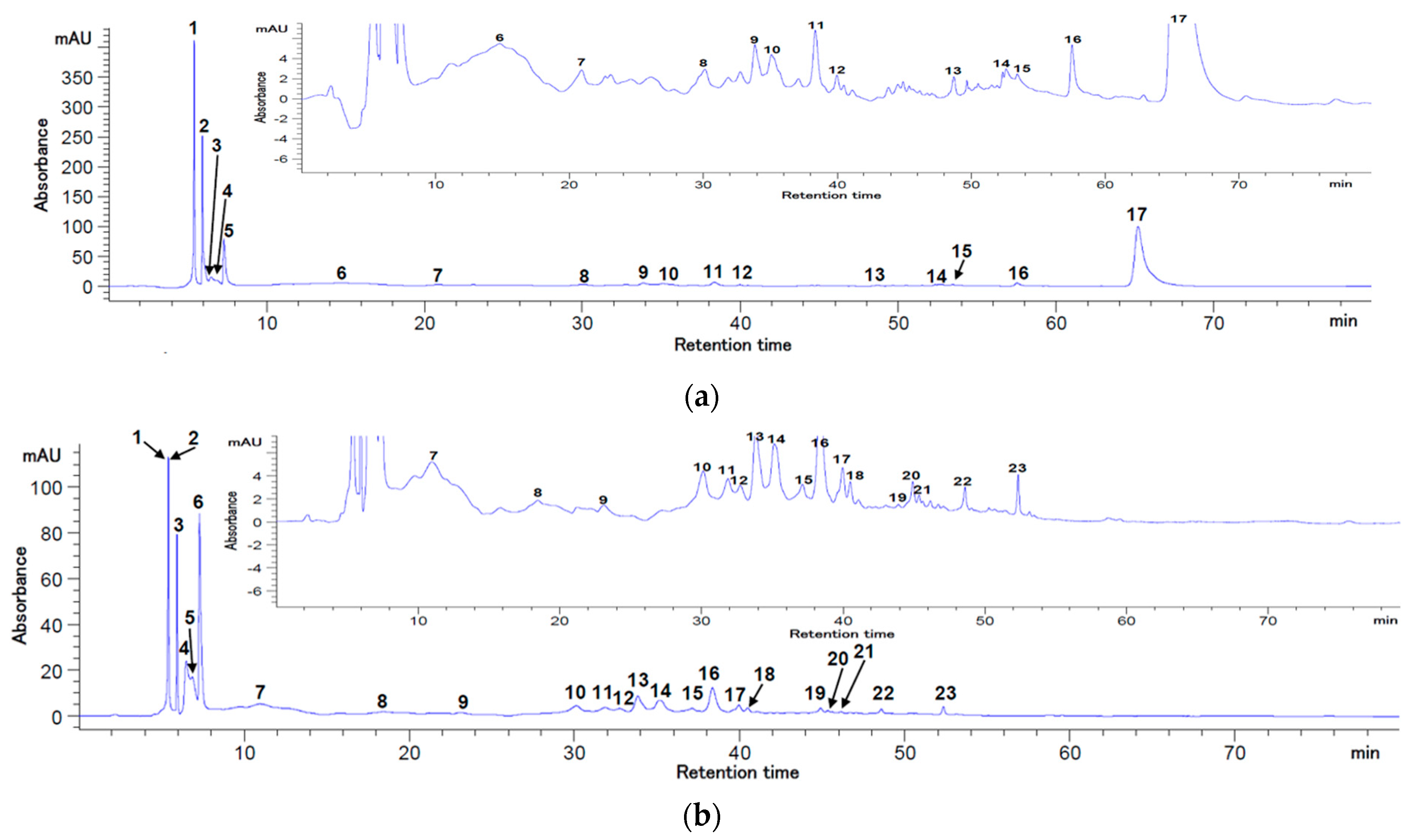 Antioxidants 12 01637 g001