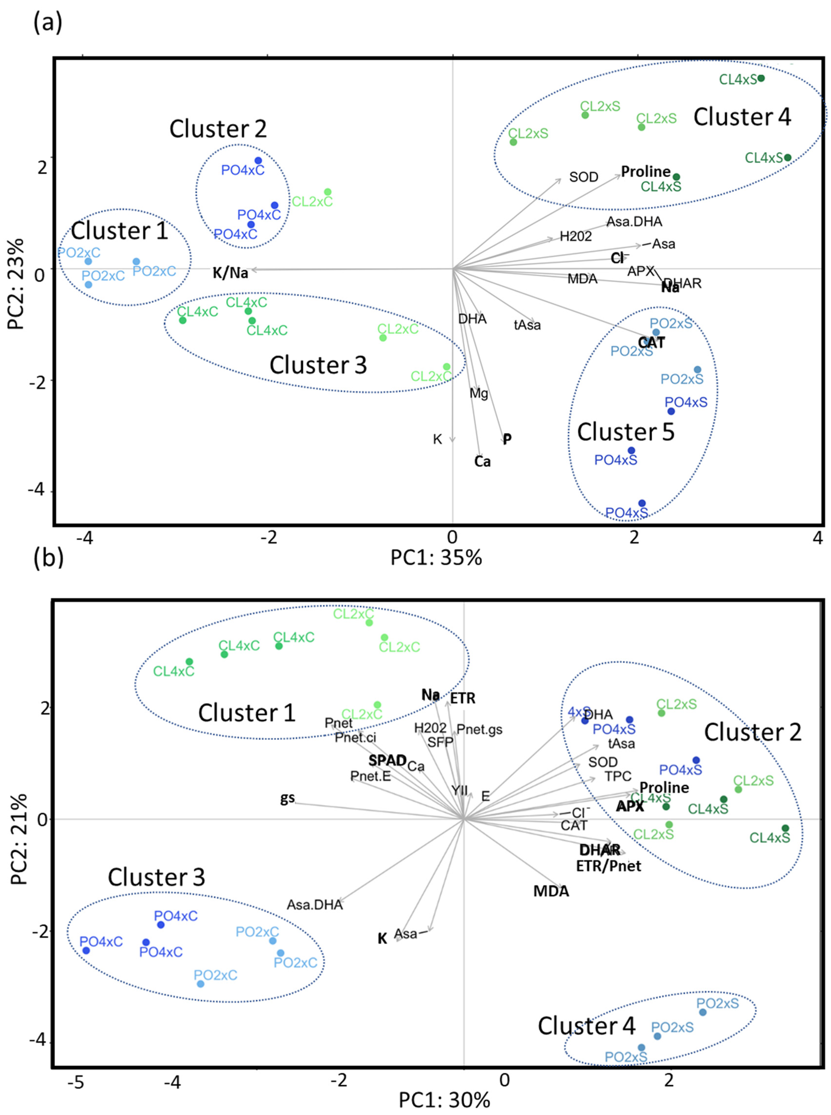 Antioxidants 12 01640 g002