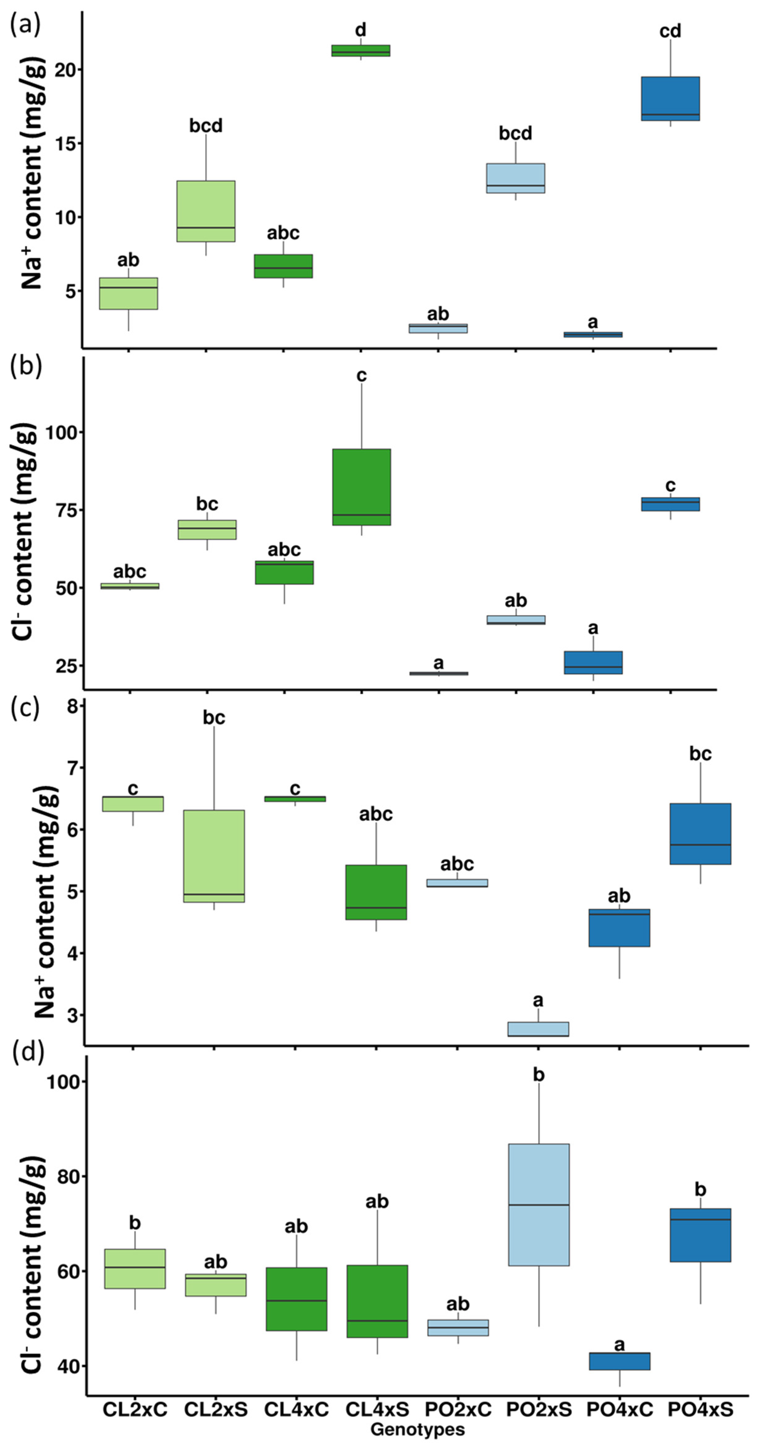 Antioxidants 12 01640 g003