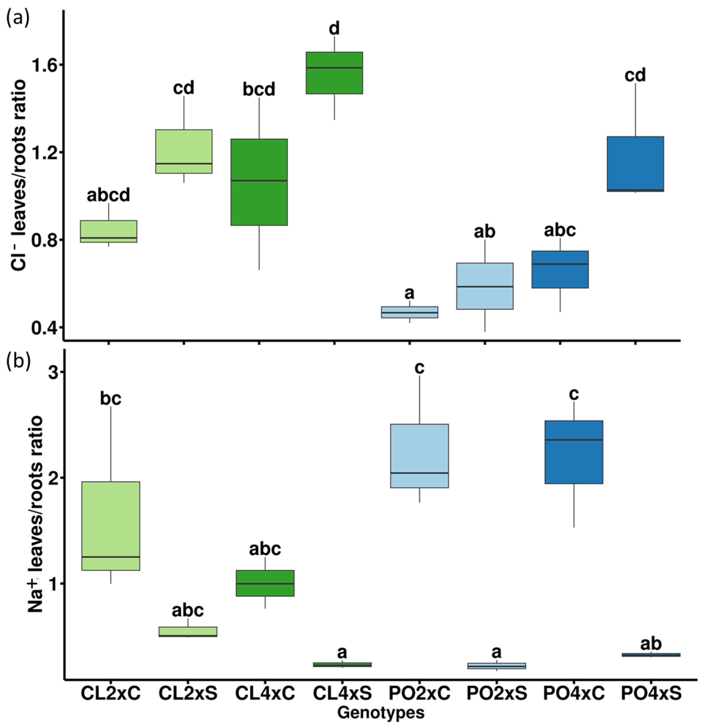 Antioxidants 12 01640 g004