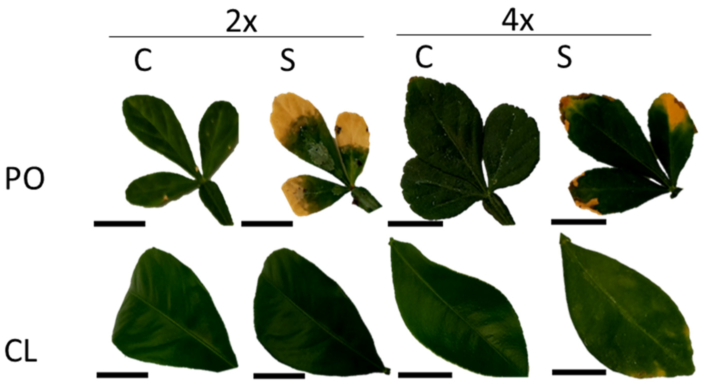 Antioxidants 12 01640 g005
